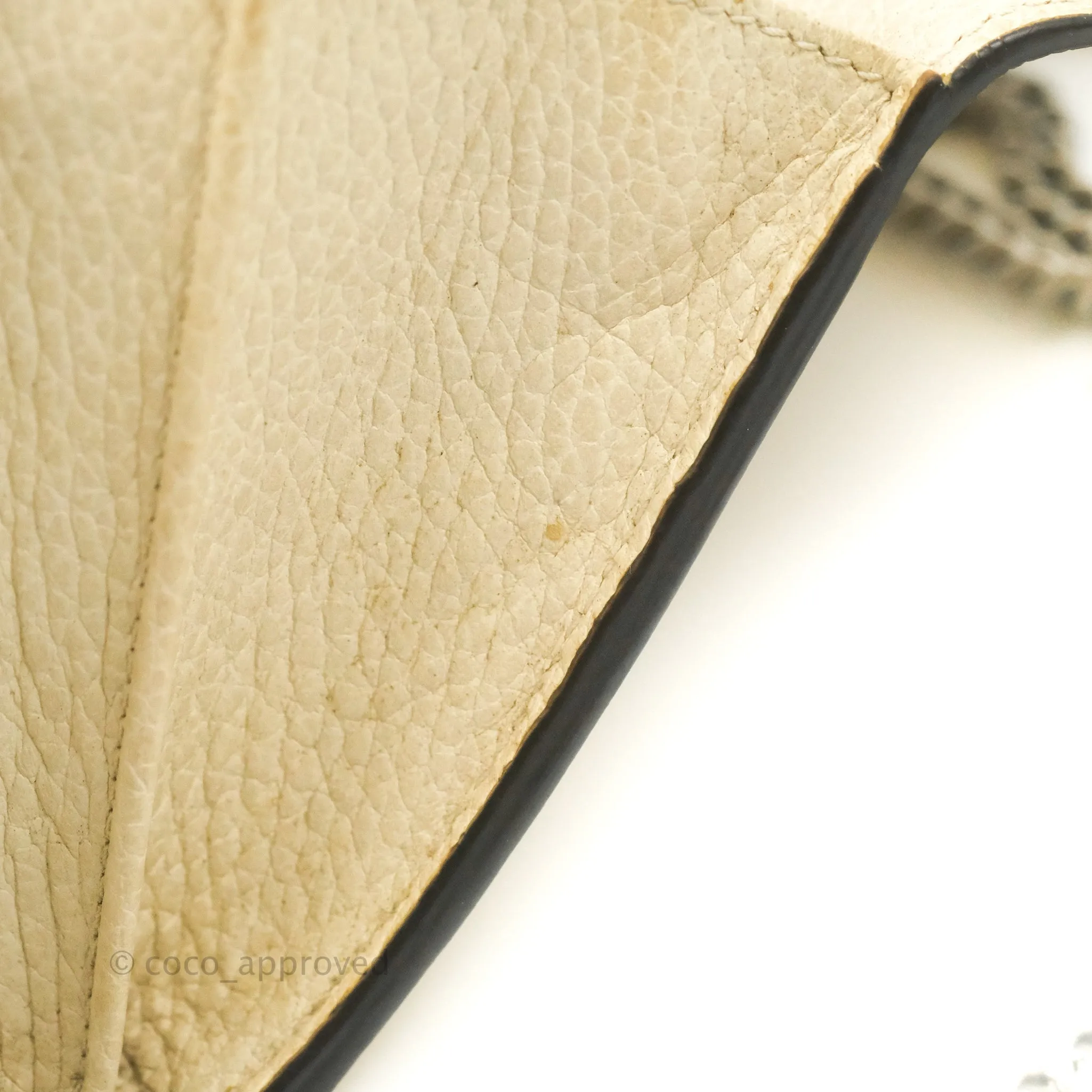 Gucci Dionysus Mini Leather Chain Bag Ivory