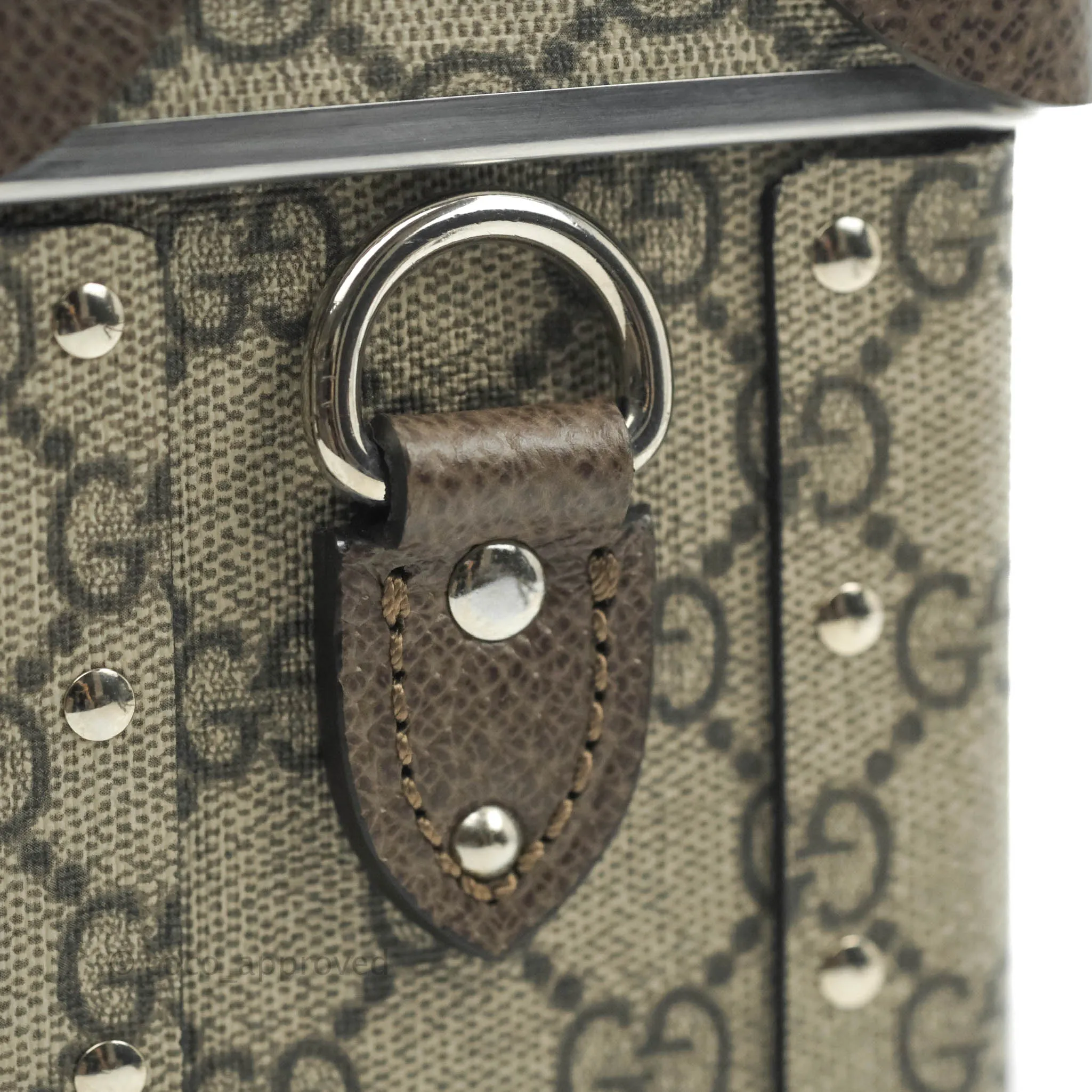 Gucci Globe-Trotter GG Beauty Case 2018F/W