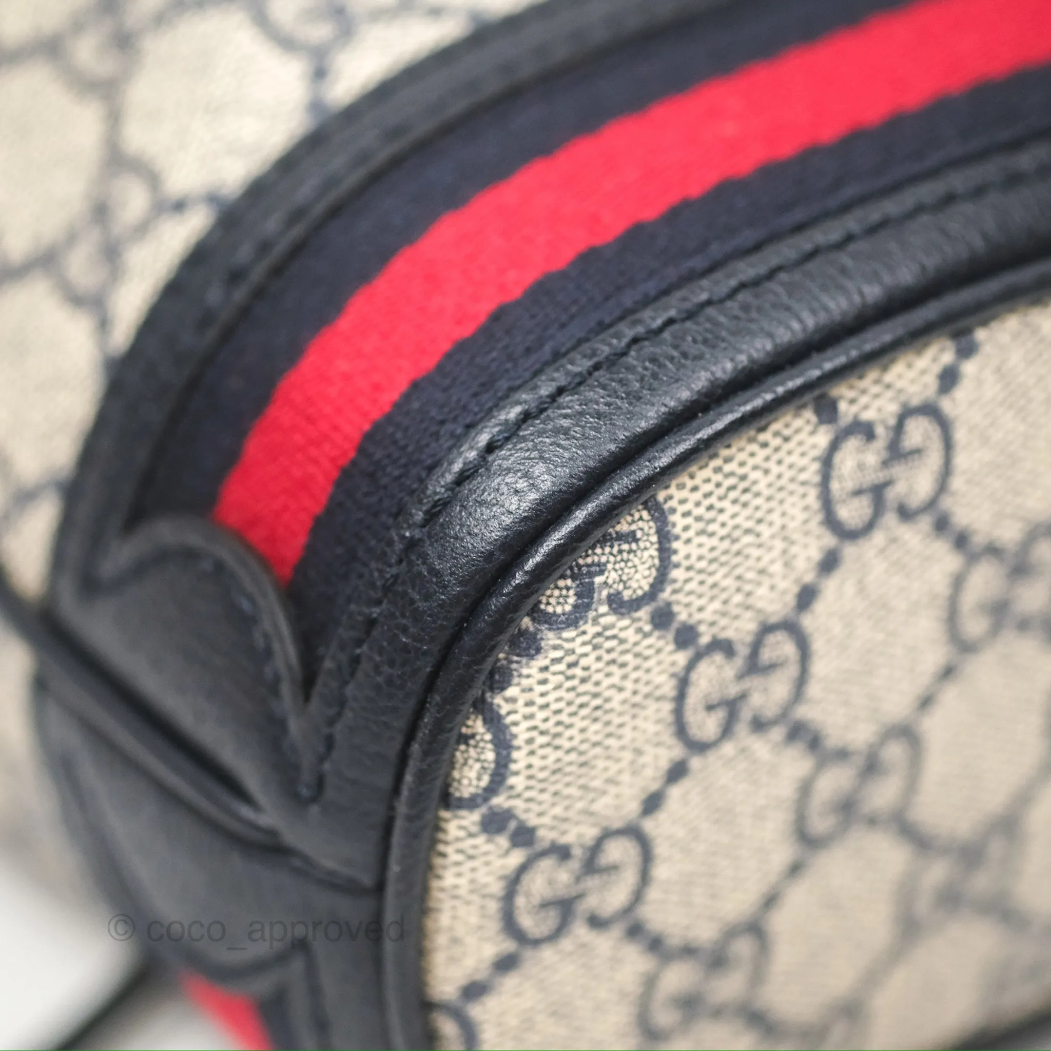 Gucci Ophidia Bucket Bag