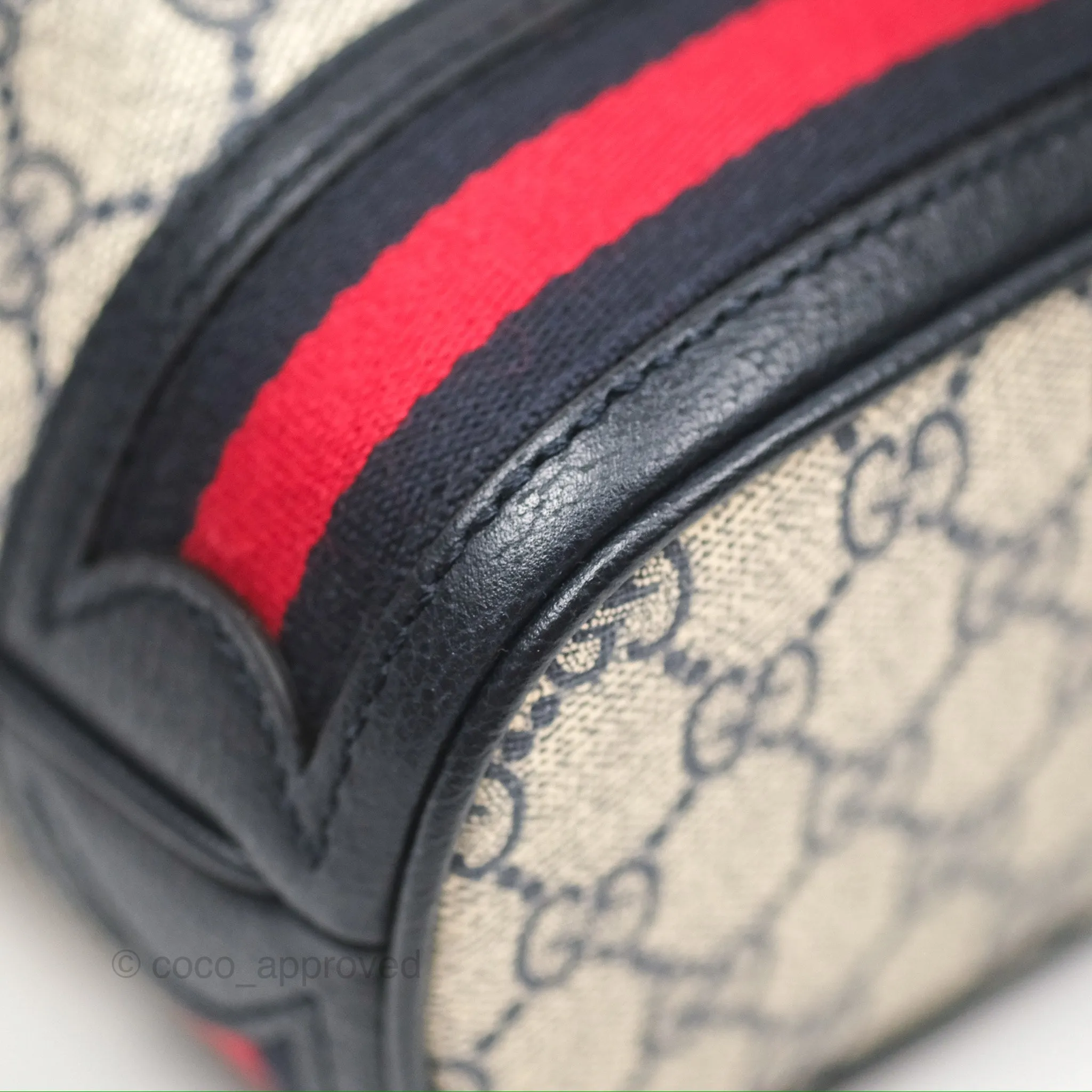 Gucci Ophidia Bucket Bag