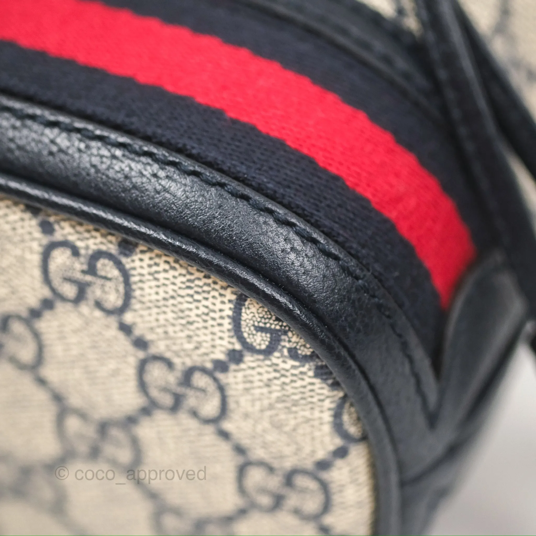 Gucci Ophidia Bucket Bag