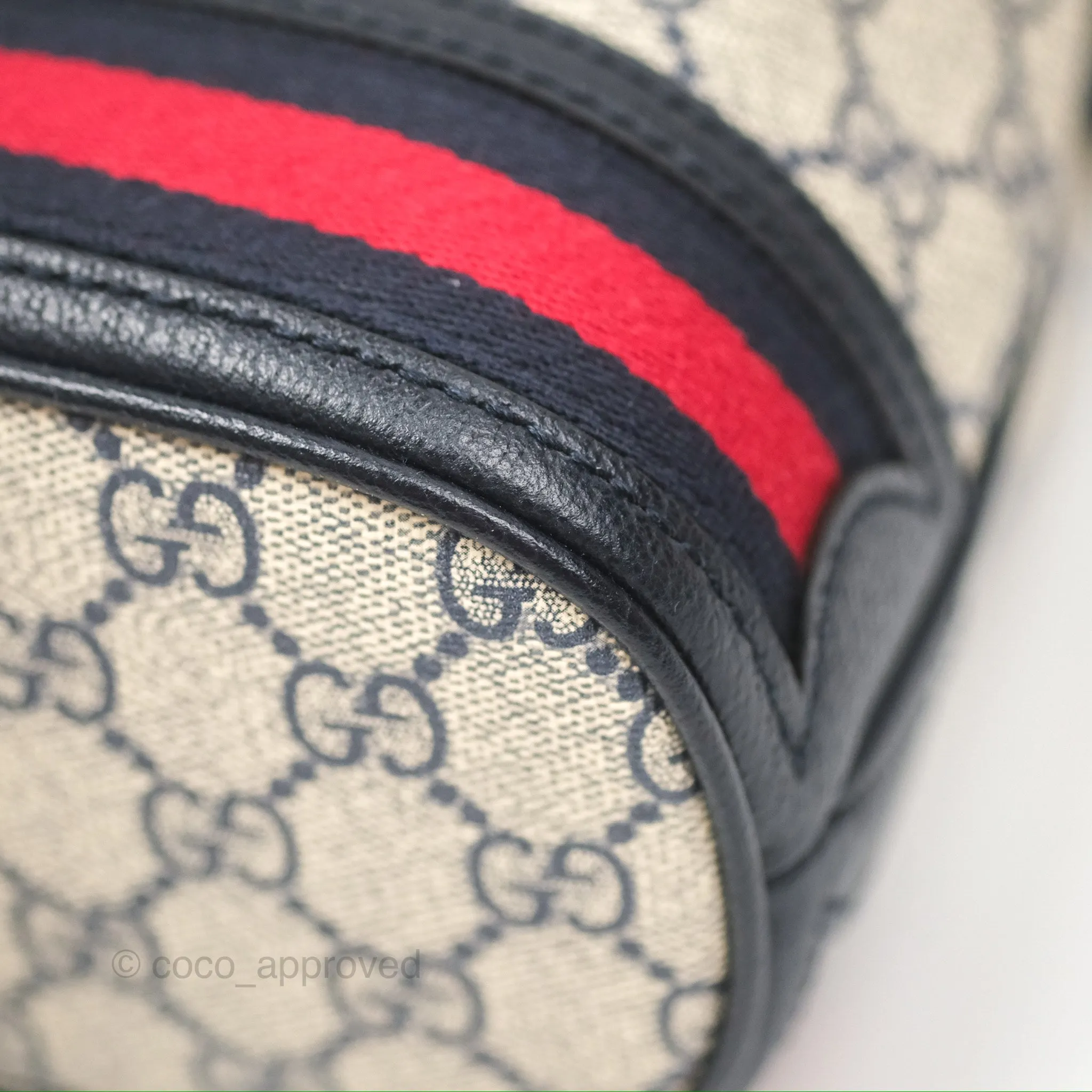 Gucci Ophidia Bucket Bag