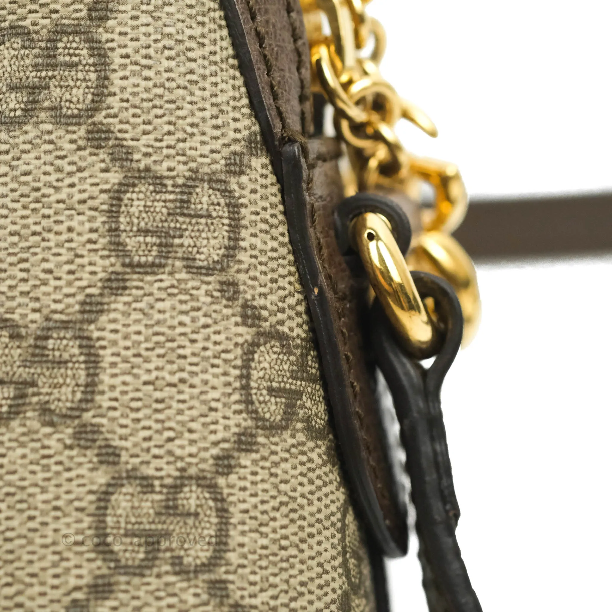 Gucci Ophidia GG Supreme Monogram Small Shoulder Bag