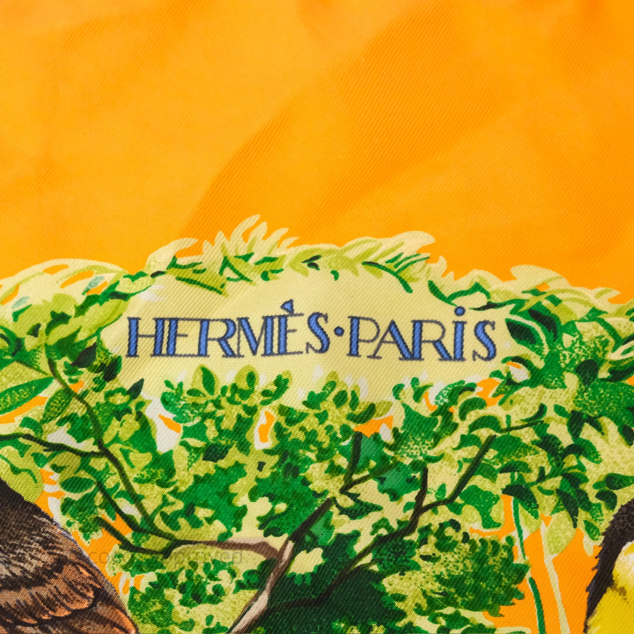 Hermes Equateur Wash Scarf Silk 90