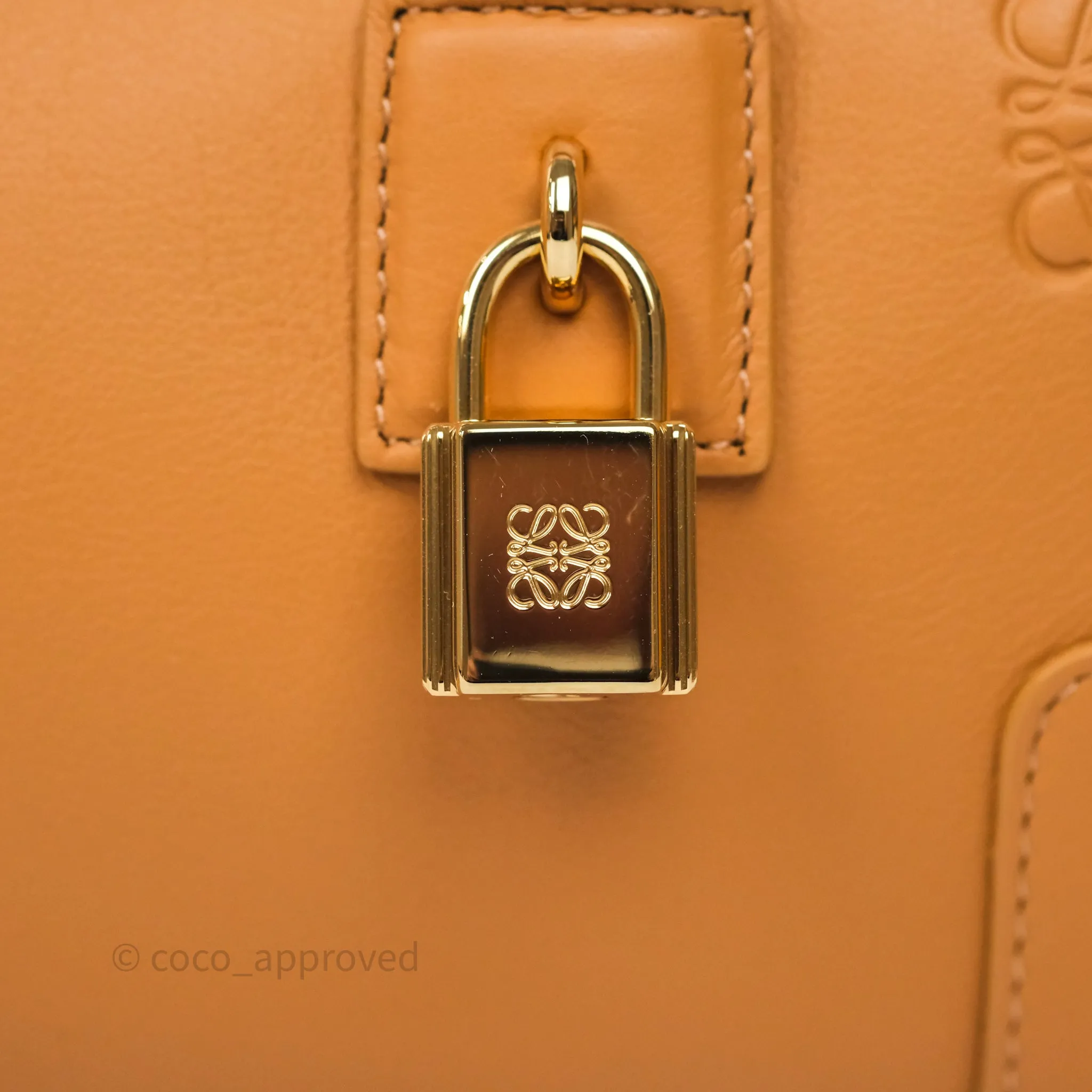 Loewe Amazona 23 Cropped Bag Warm Desert Nappa Calfskin