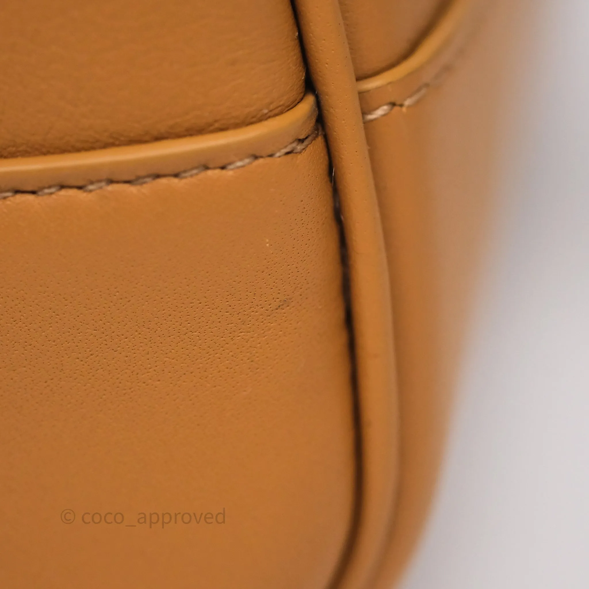 Loewe Amazona 23 Cropped Bag Warm Desert Nappa Calfskin