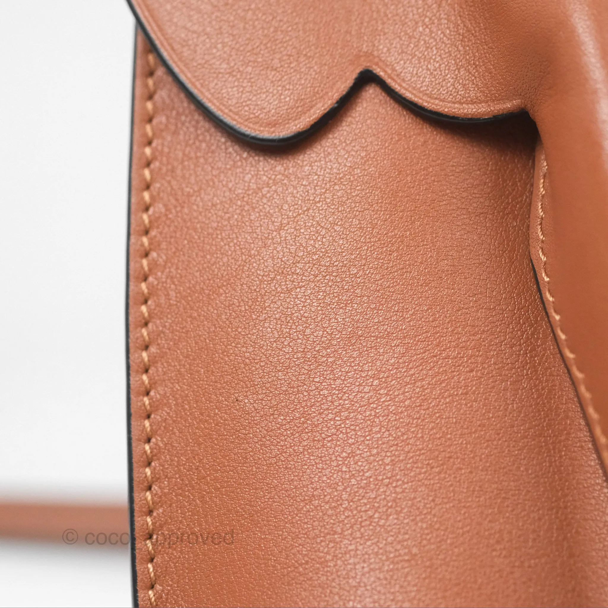 Loewe Elephant Pocket in Classic Calfskin Tan