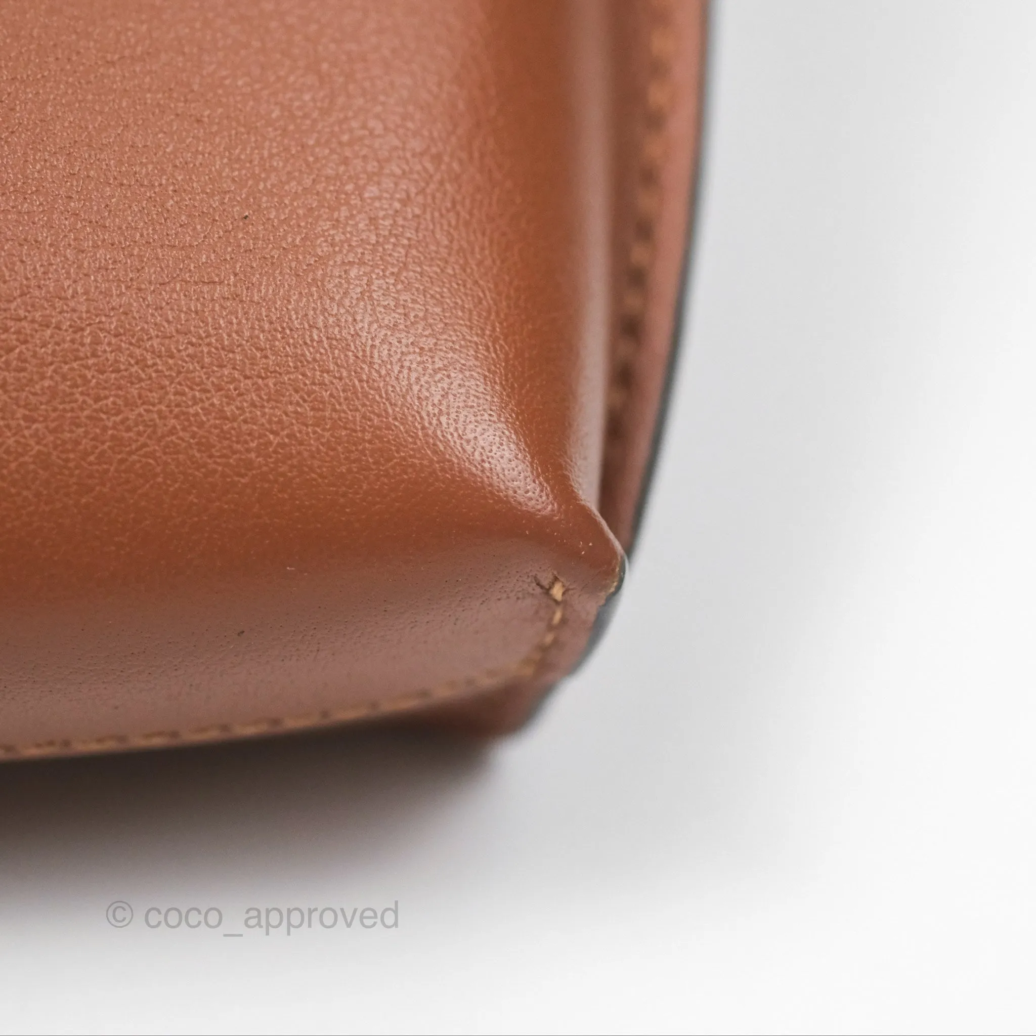 Loewe Elephant Pocket in Classic Calfskin Tan