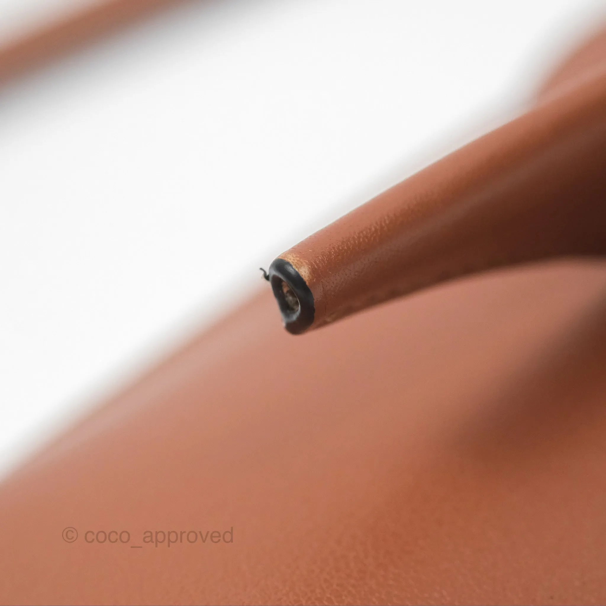 Loewe Elephant Pocket in Classic Calfskin Tan