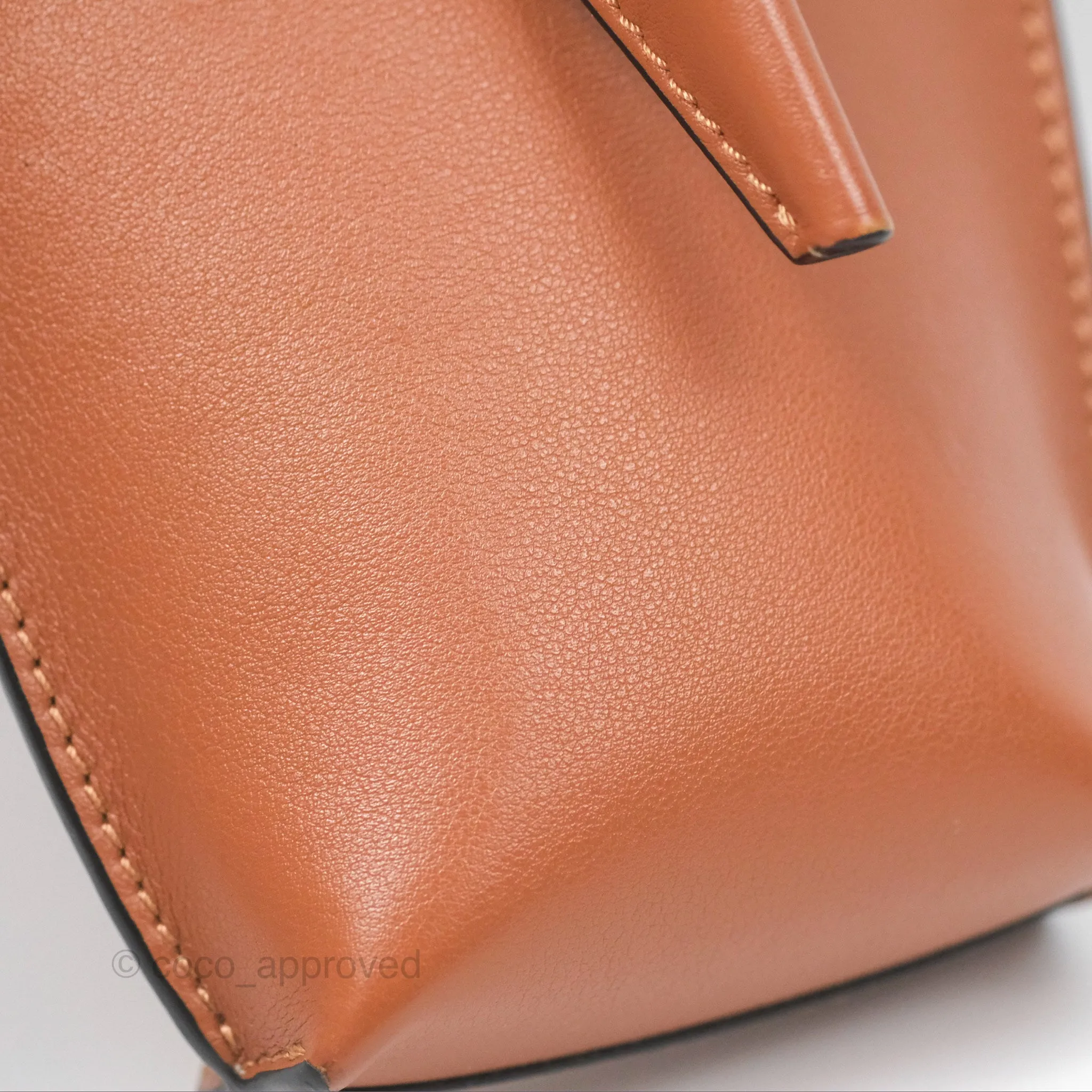 Loewe Elephant Pocket in Classic Calfskin Tan