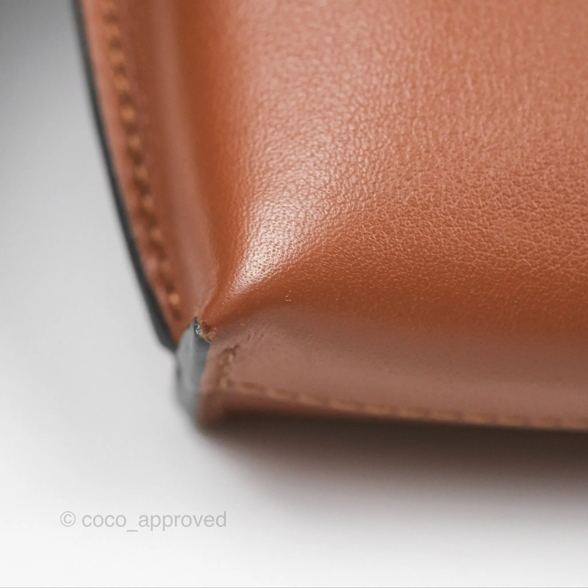 Loewe Elephant Pocket in Classic Calfskin Tan