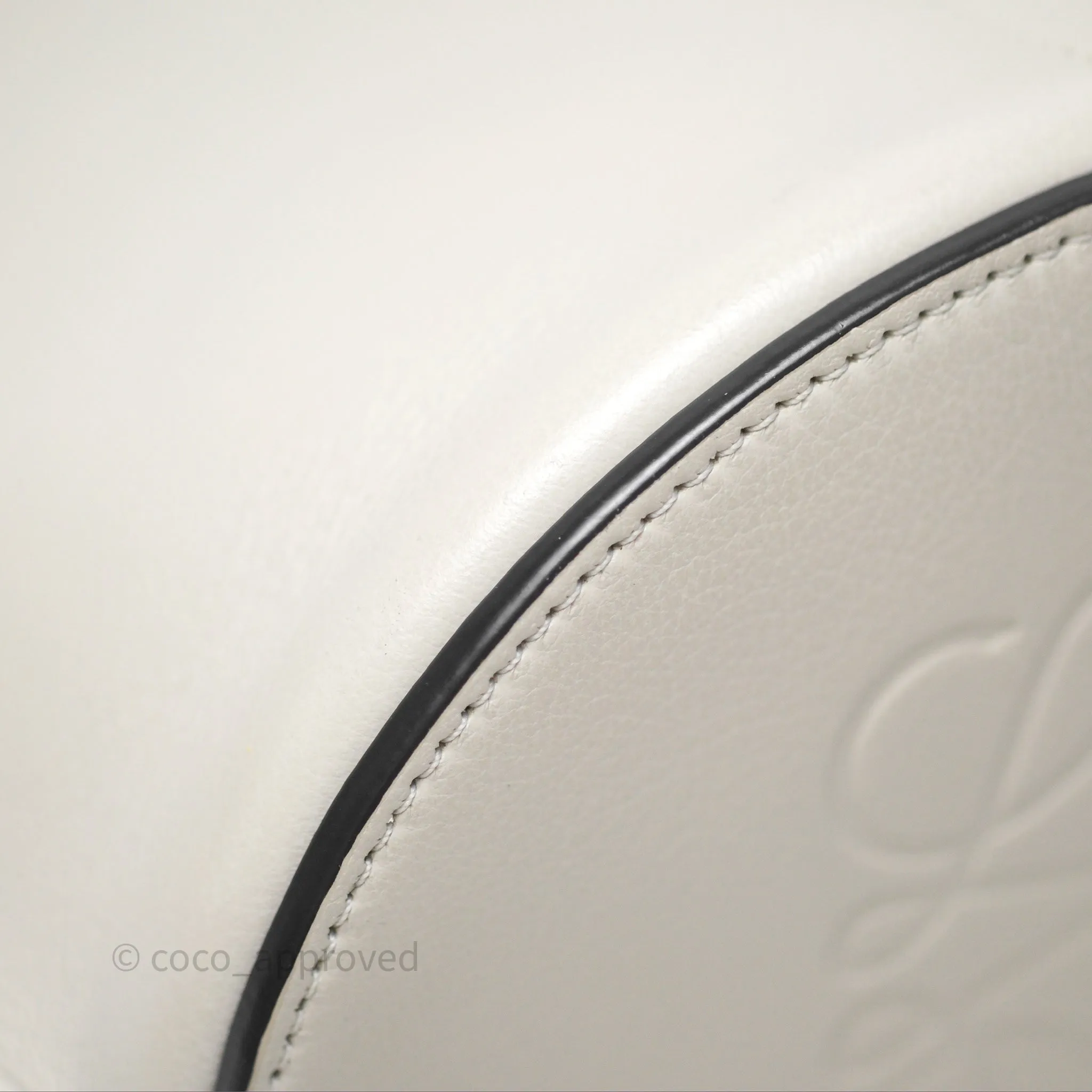 Loewe Gate Bucket Handle Bag Soft White Grained Calfskin