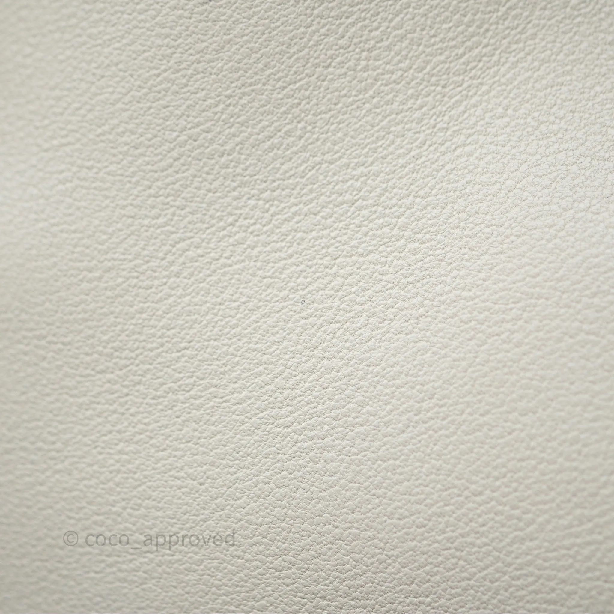 Loewe Medium Flamenco Purse in Mellow Nappa Lambskin Sea Salt