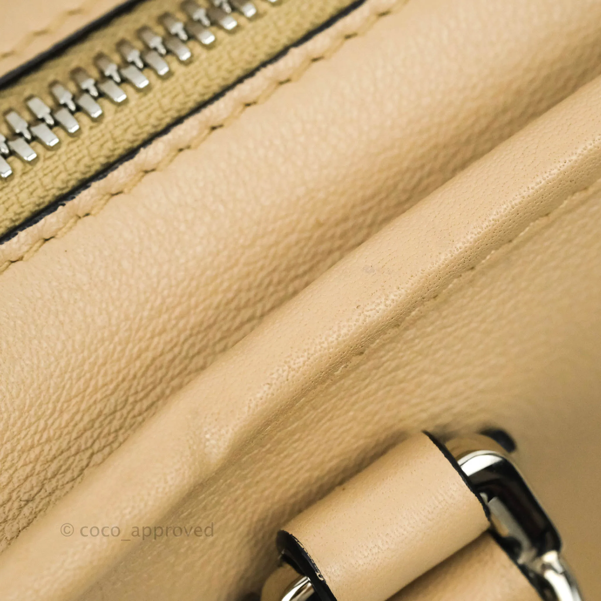 Loewe Mini Amazona 23 Ash Calfskin Silver Hardware