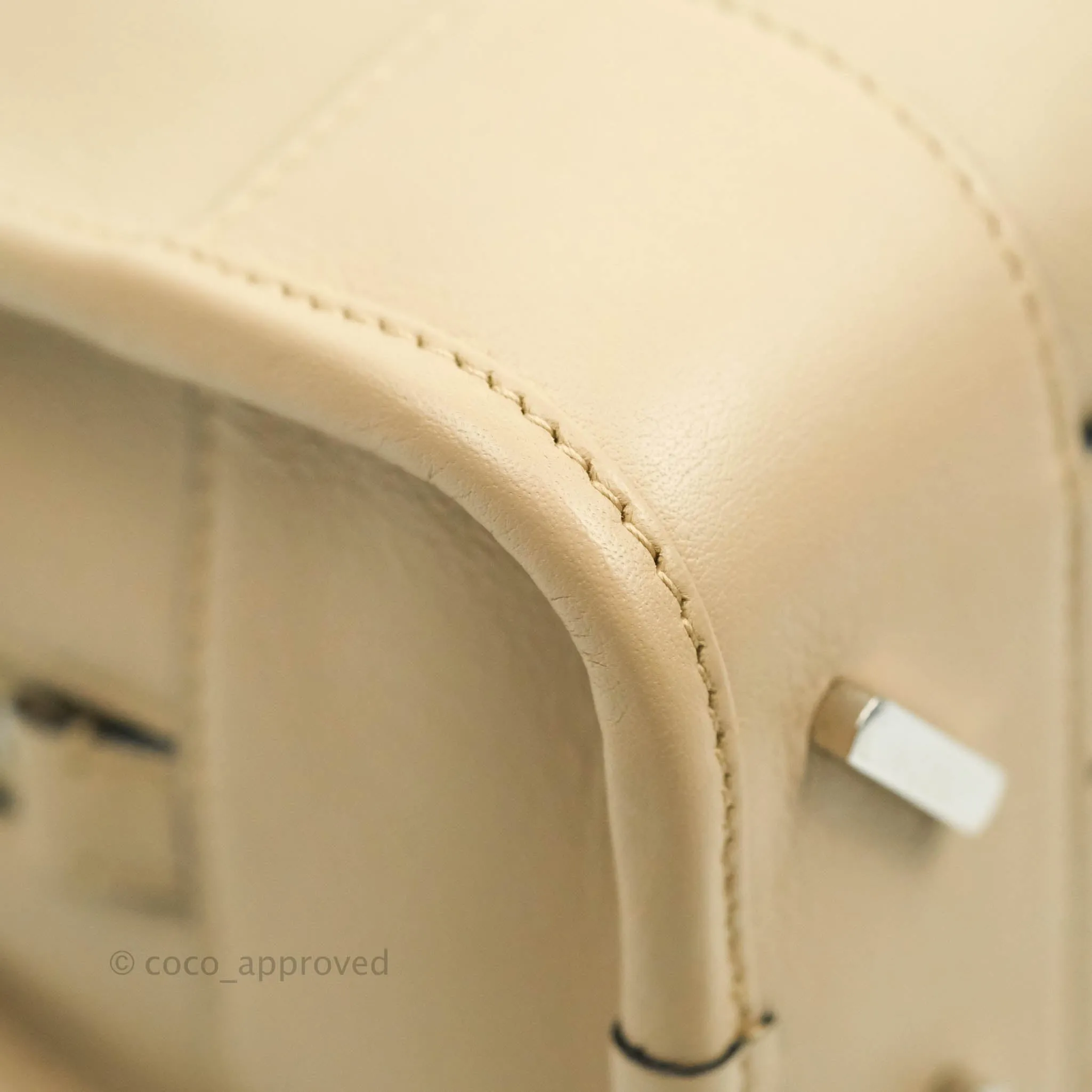 Loewe Mini Amazona 23 Ash Calfskin Silver Hardware