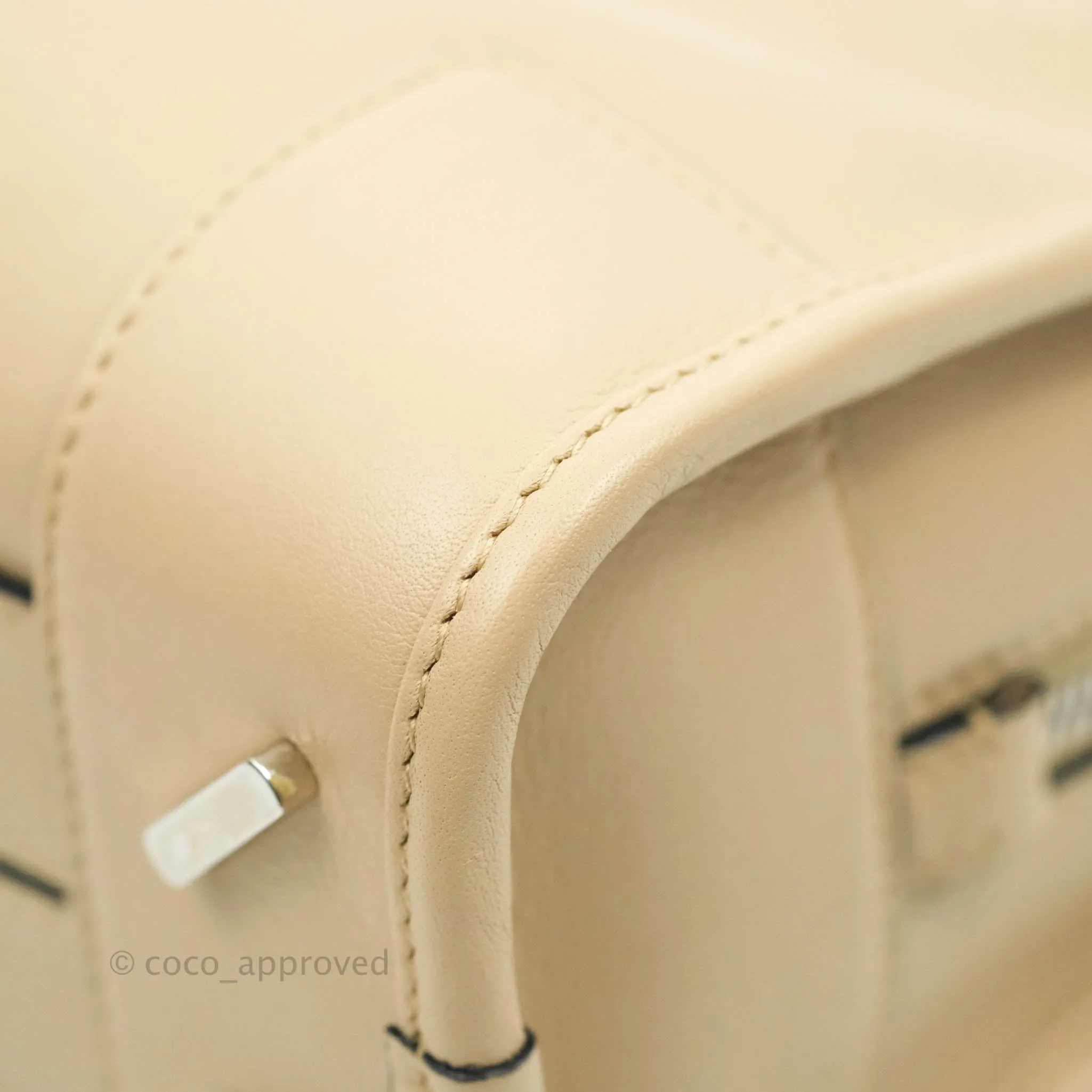 Loewe Mini Amazona 23 Ash Calfskin Silver Hardware