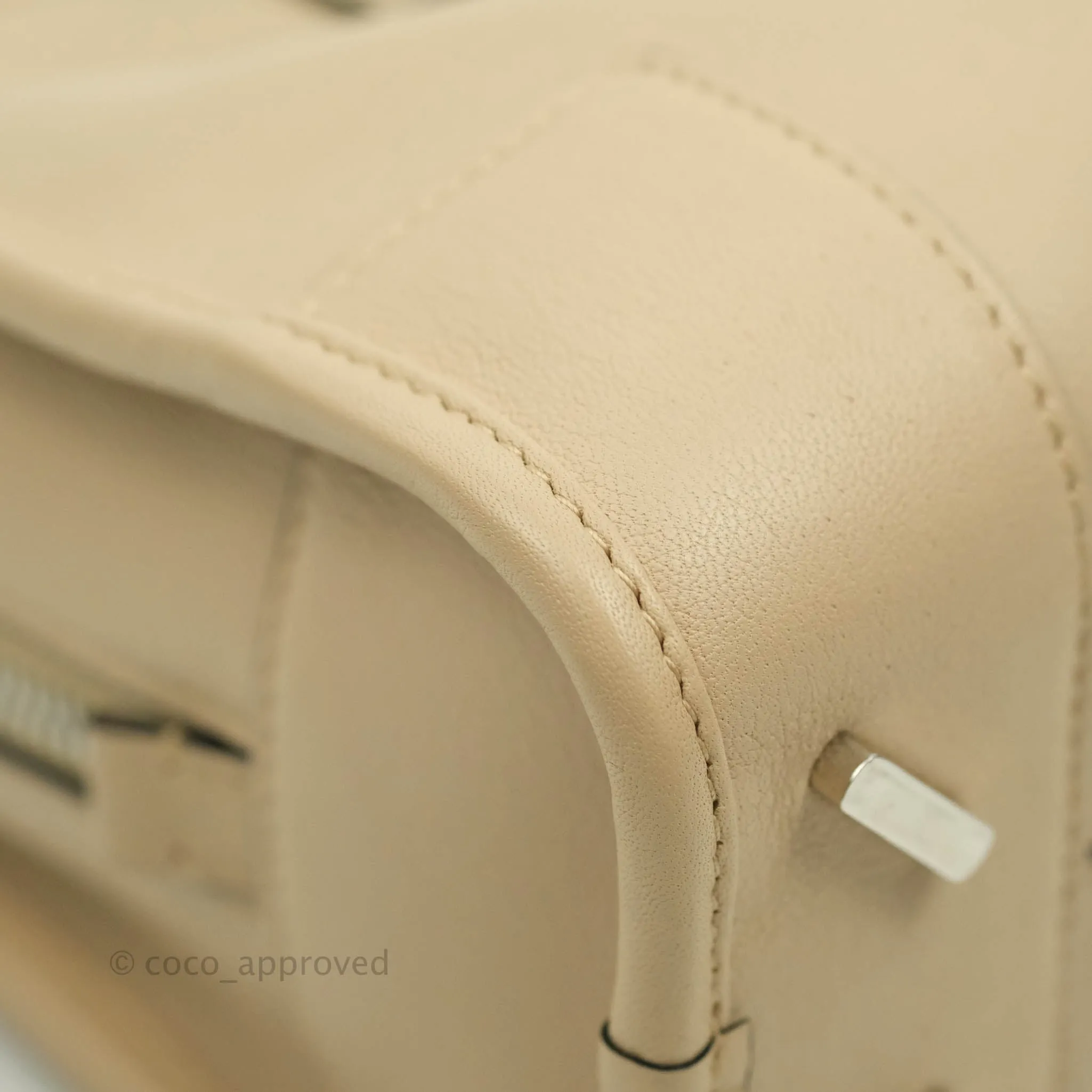 Loewe Mini Amazona 23 Ash Calfskin Silver Hardware