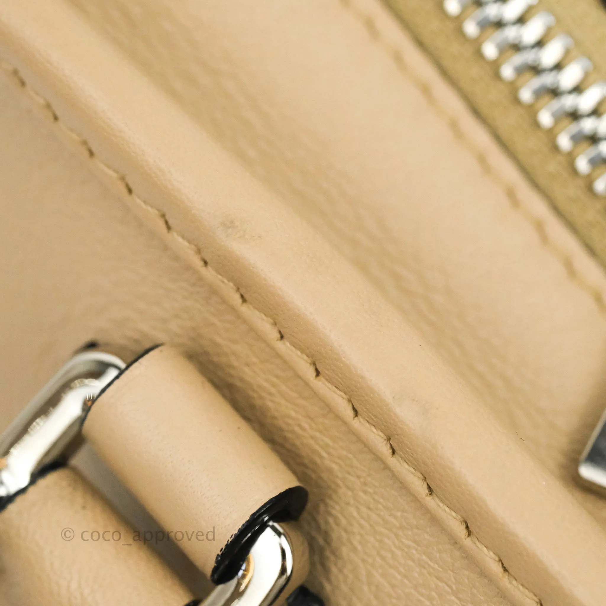 Loewe Mini Amazona 23 Ash Calfskin Silver Hardware