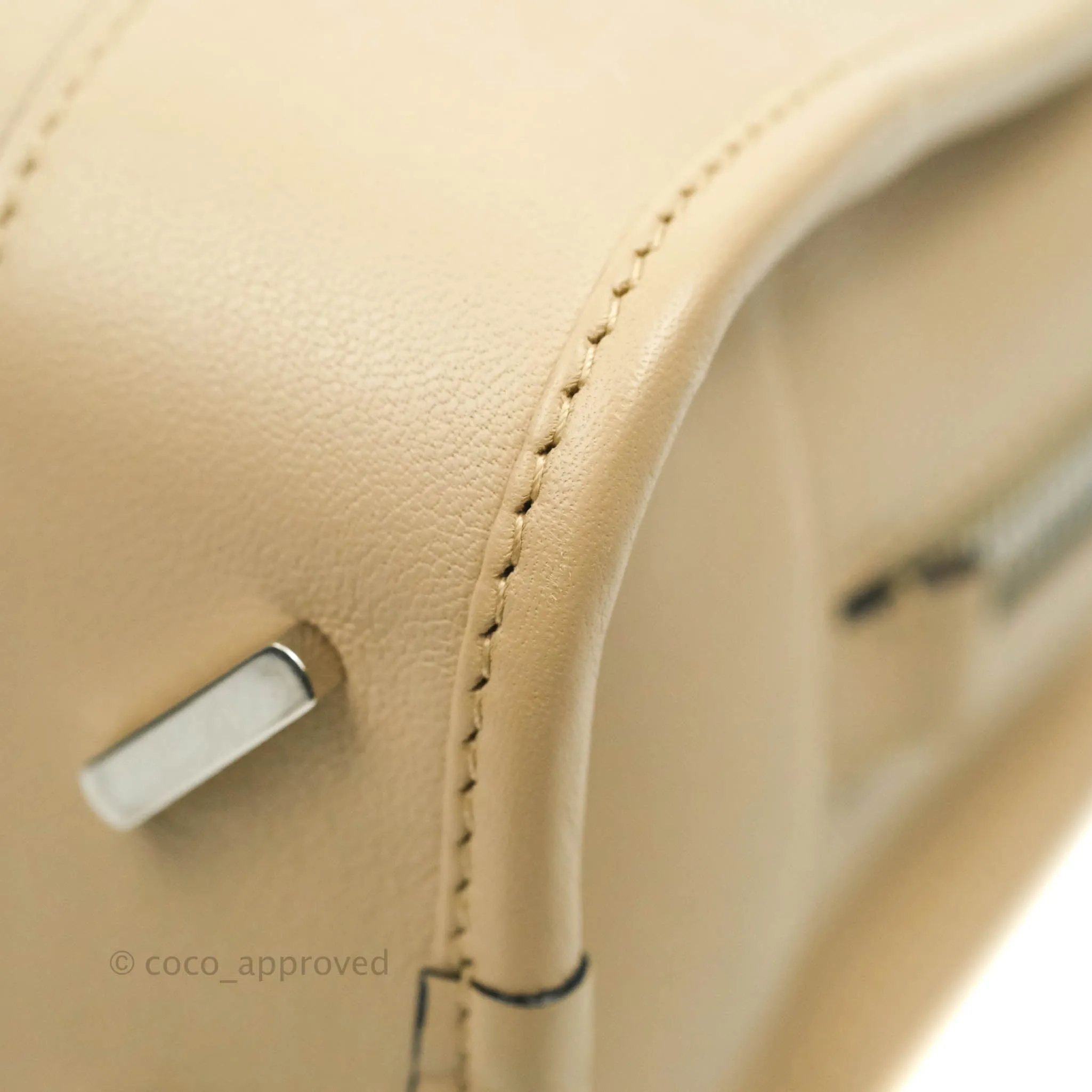 Loewe Mini Amazona 23 Ash Calfskin Silver Hardware