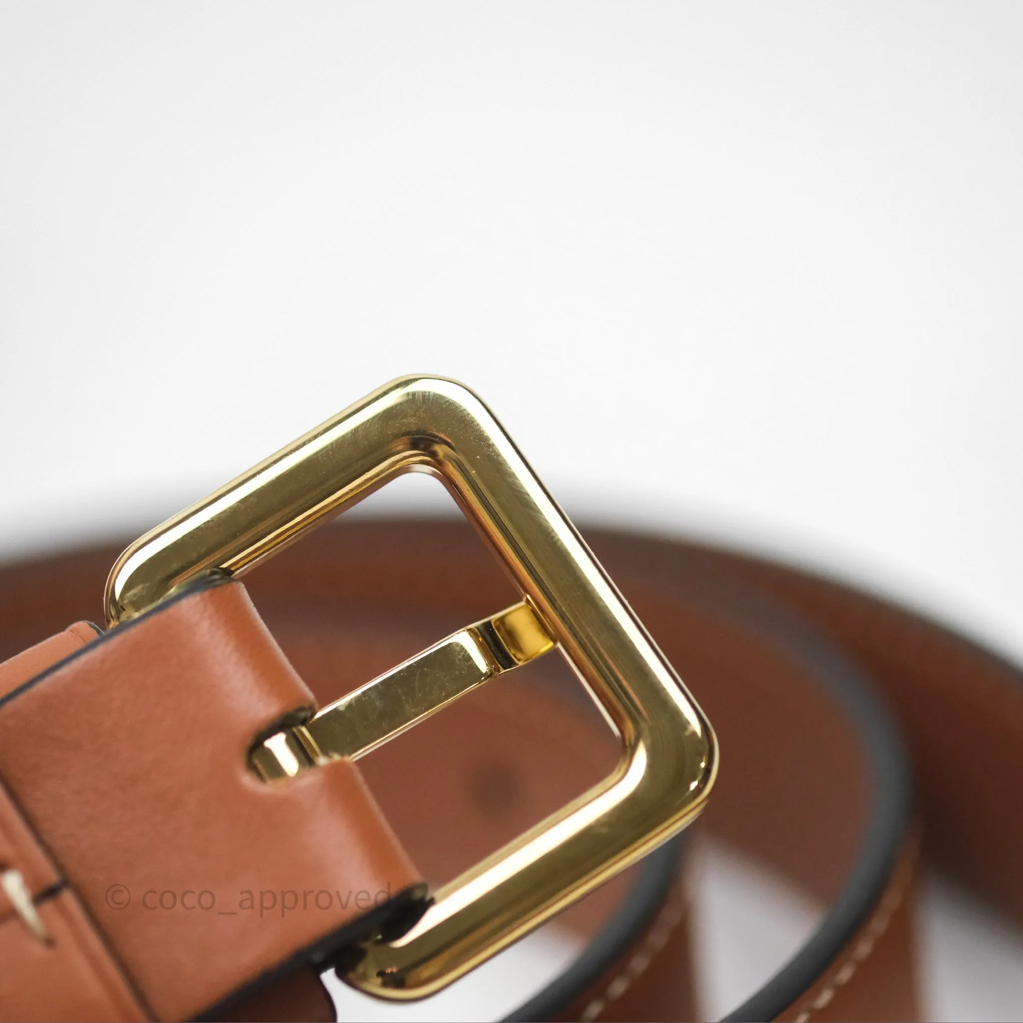 Loewe Mini Gate Belt Bag in Soft Calfskin Brown