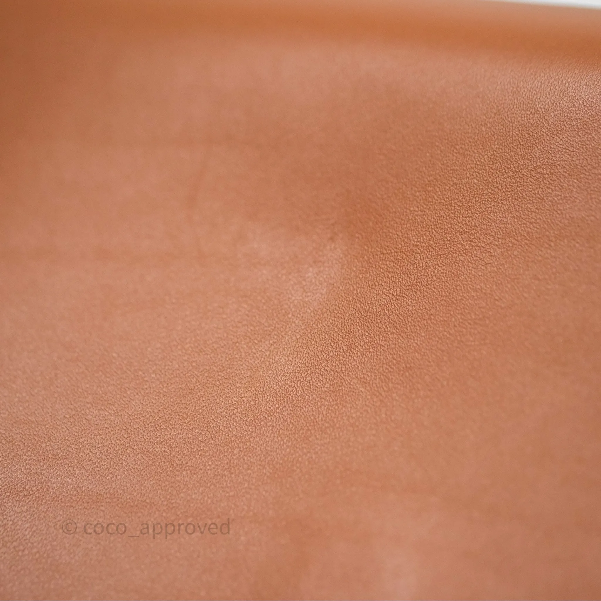 Loewe Mini Gate Belt Bag in Soft Calfskin Brown