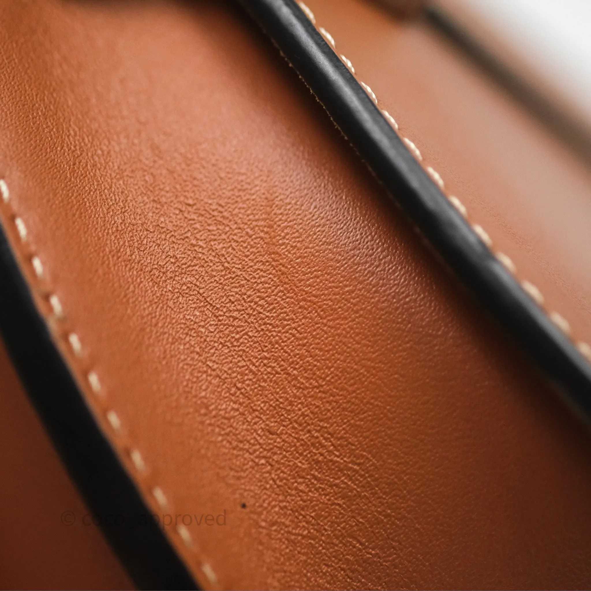 Loewe Mini Gate Belt Bag in Soft Calfskin Brown