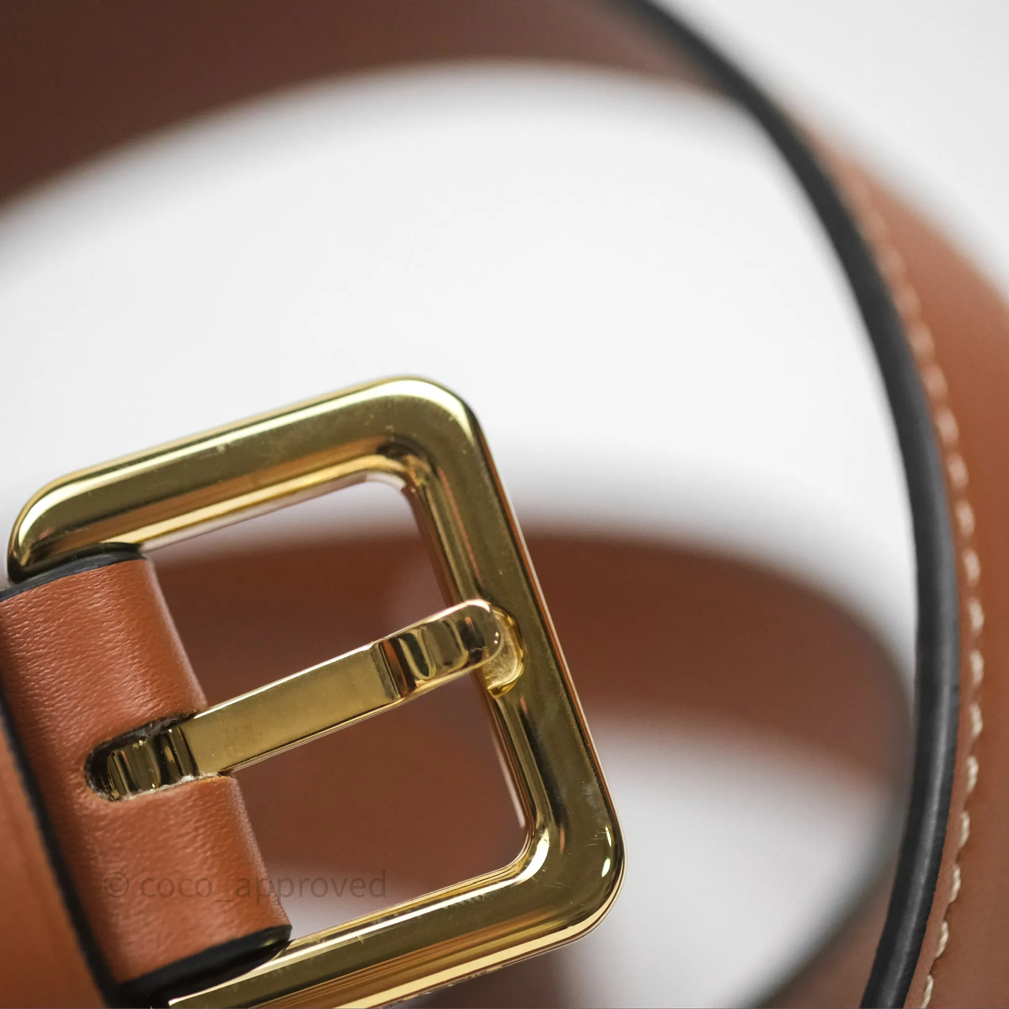 Loewe Mini Gate Belt Bag in Soft Calfskin Brown