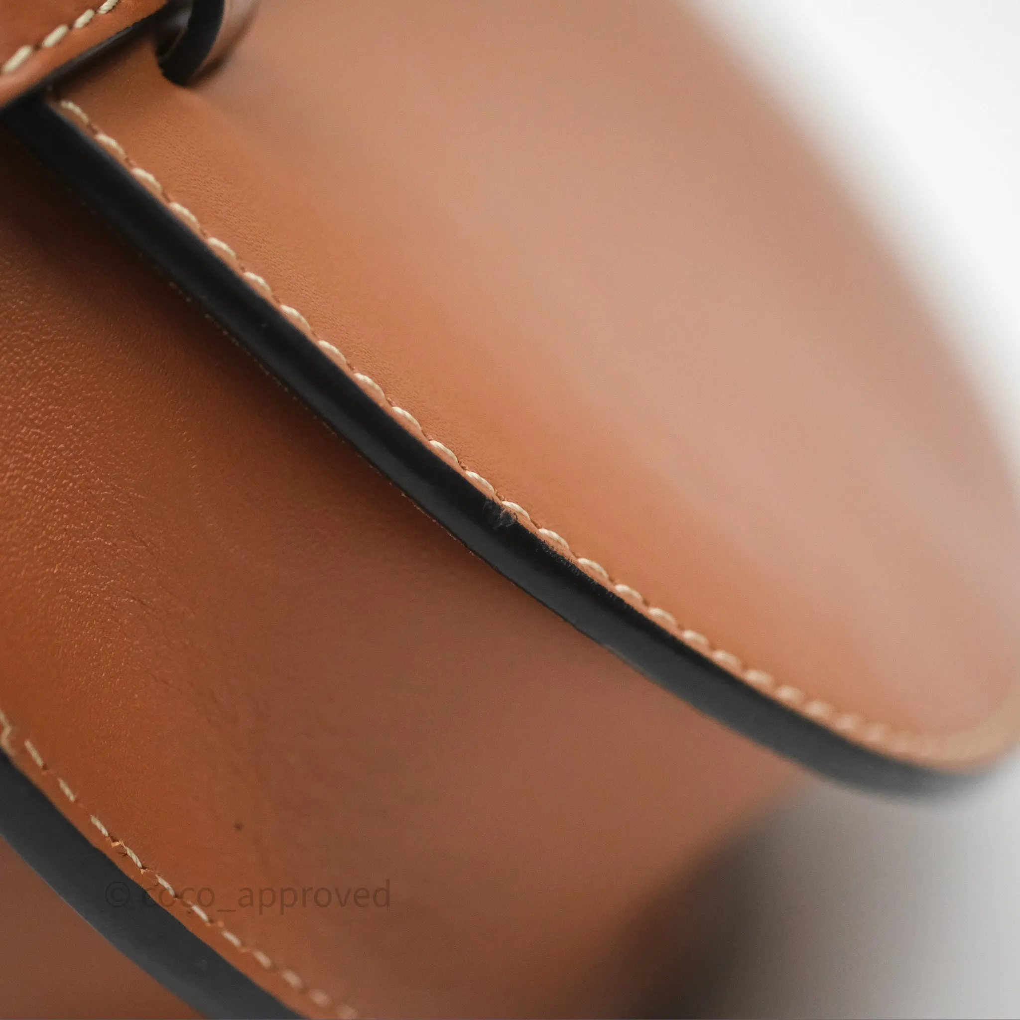 Loewe Mini Gate Belt Bag in Soft Calfskin Brown