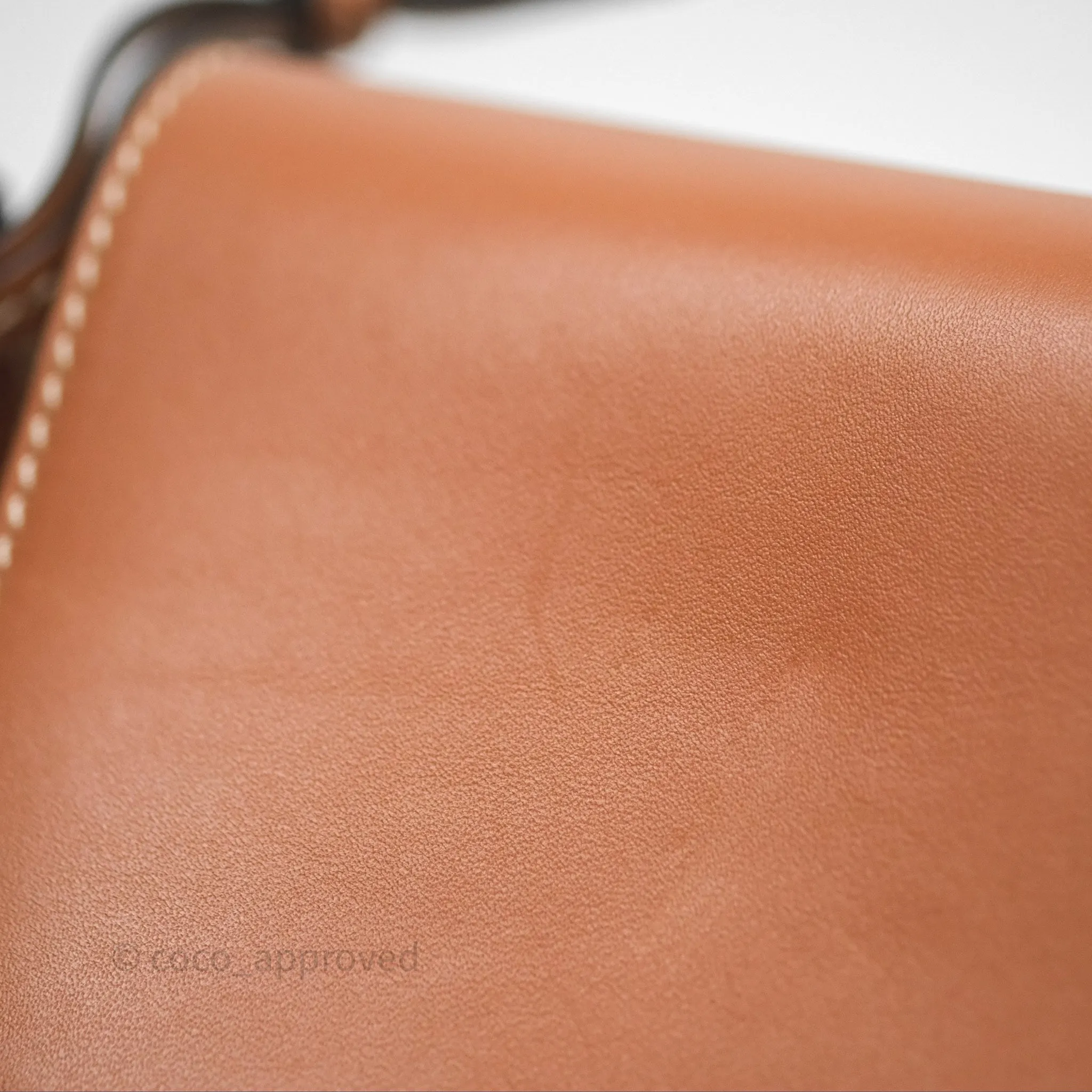 Loewe Mini Gate Belt Bag in Soft Calfskin Brown