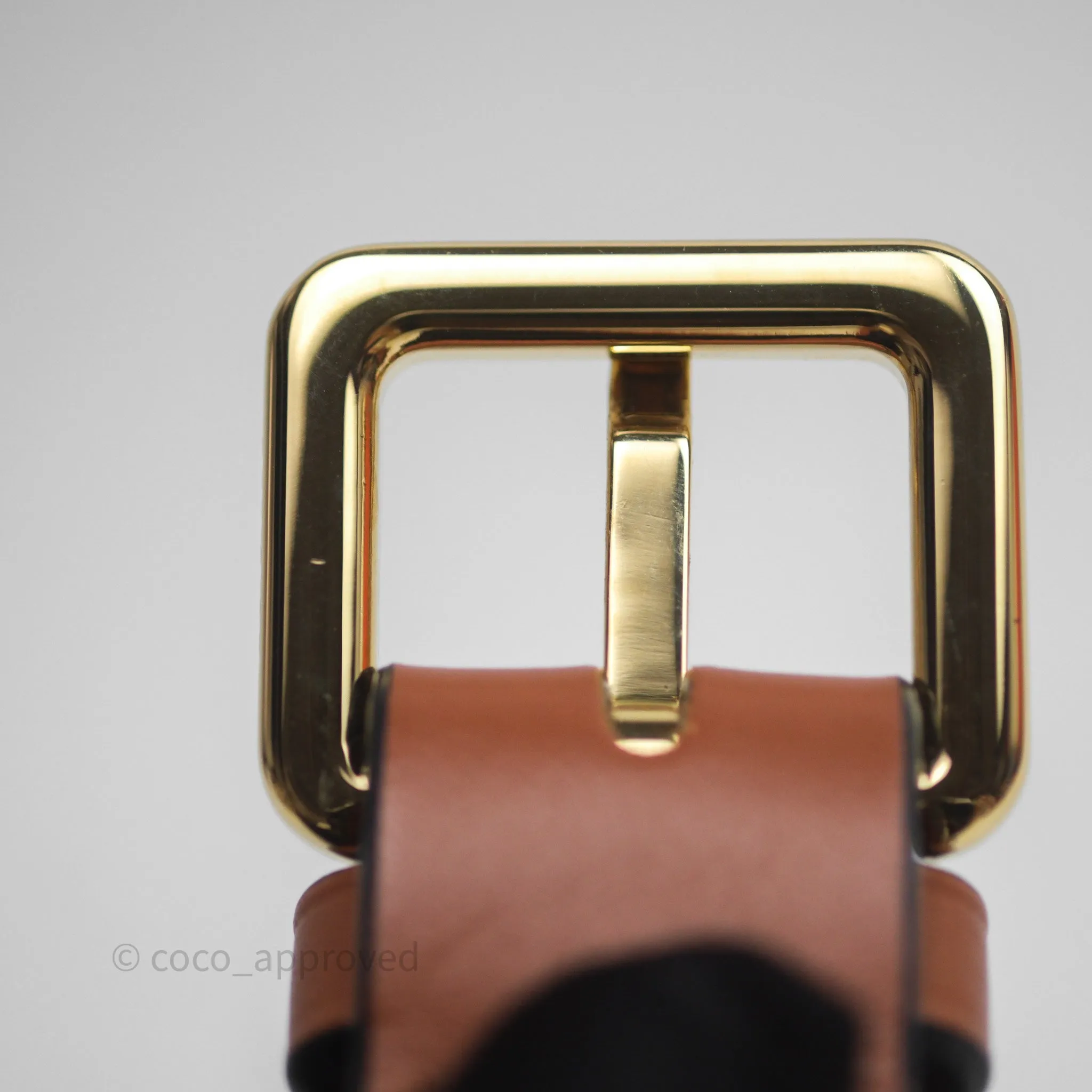 Loewe Mini Gate Belt Bag in Soft Calfskin Brown