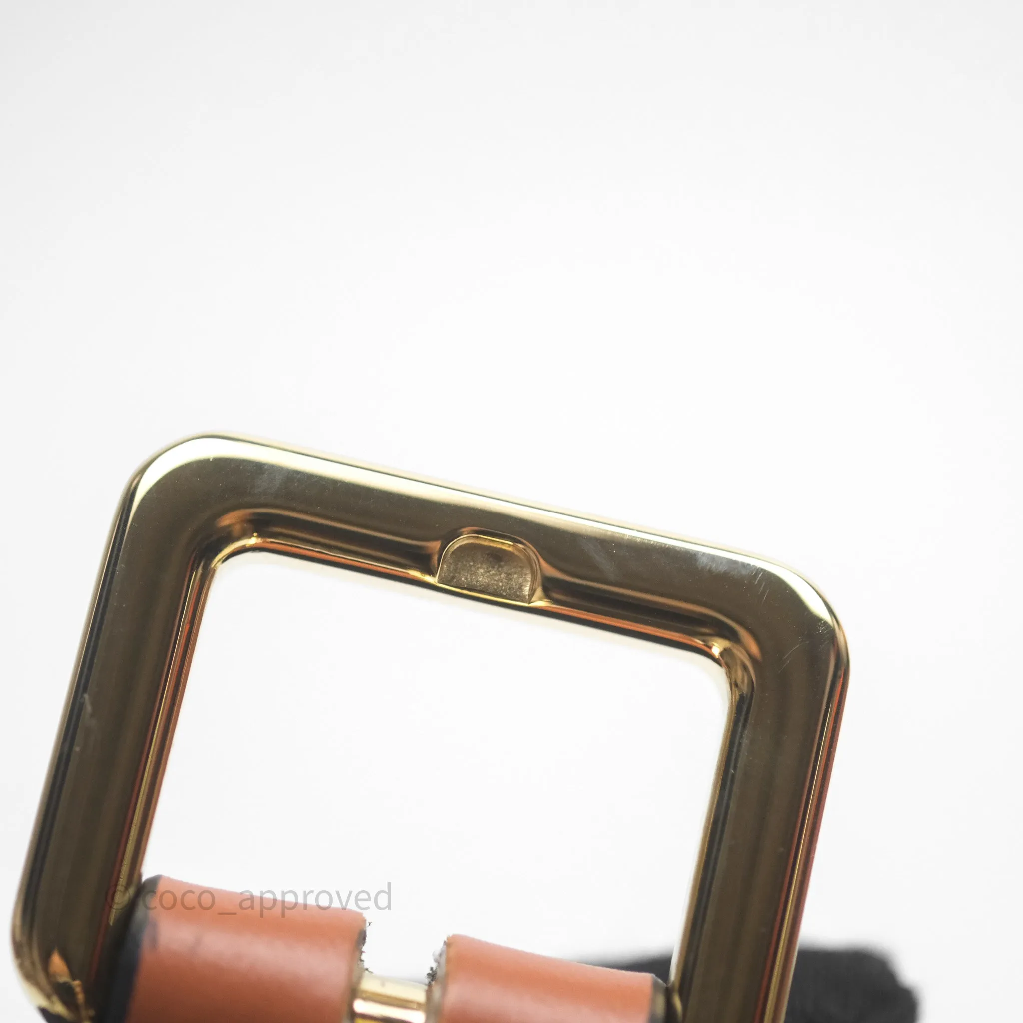 Loewe Mini Gate Belt Bag in Soft Calfskin Brown