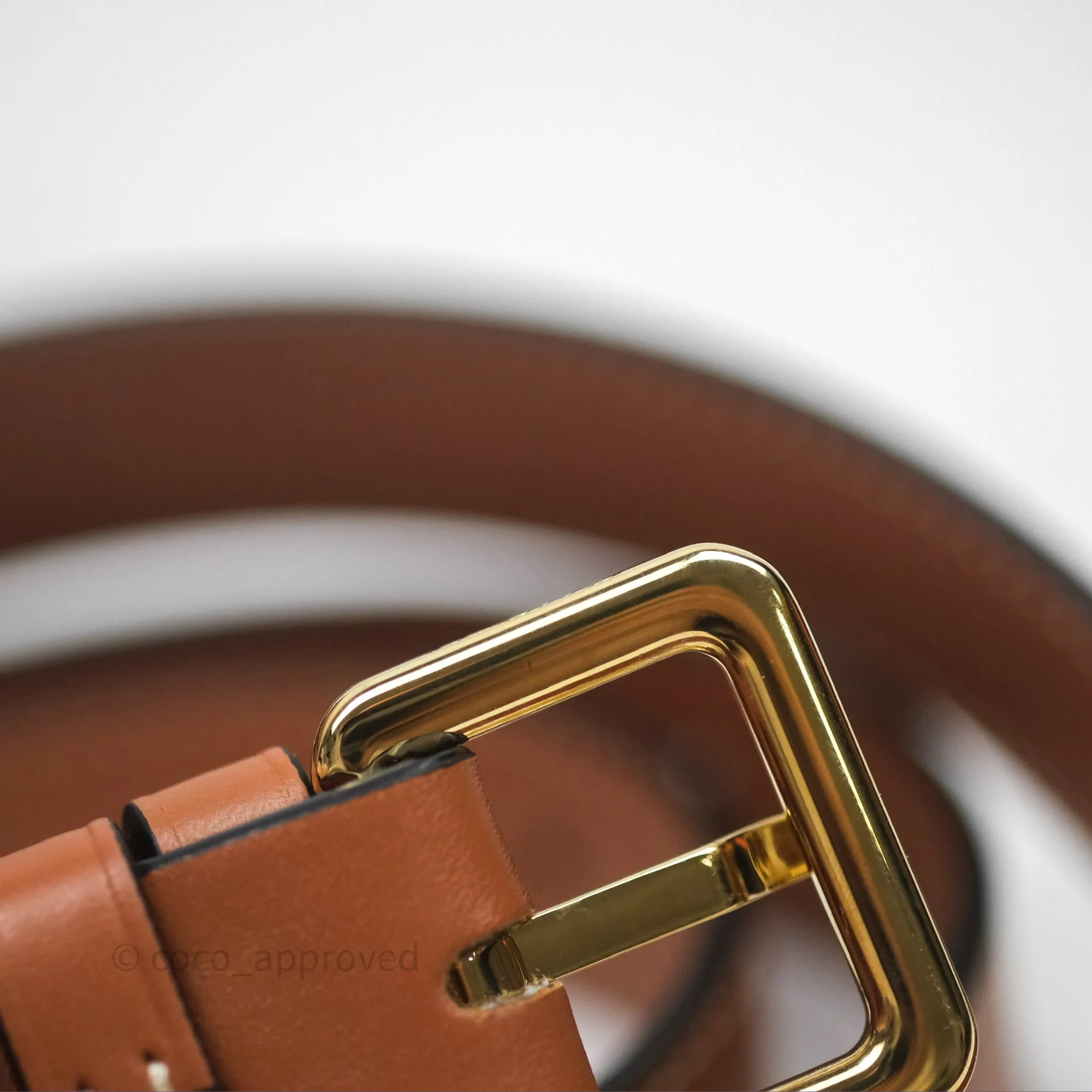 Loewe Mini Gate Belt Bag in Soft Calfskin Brown