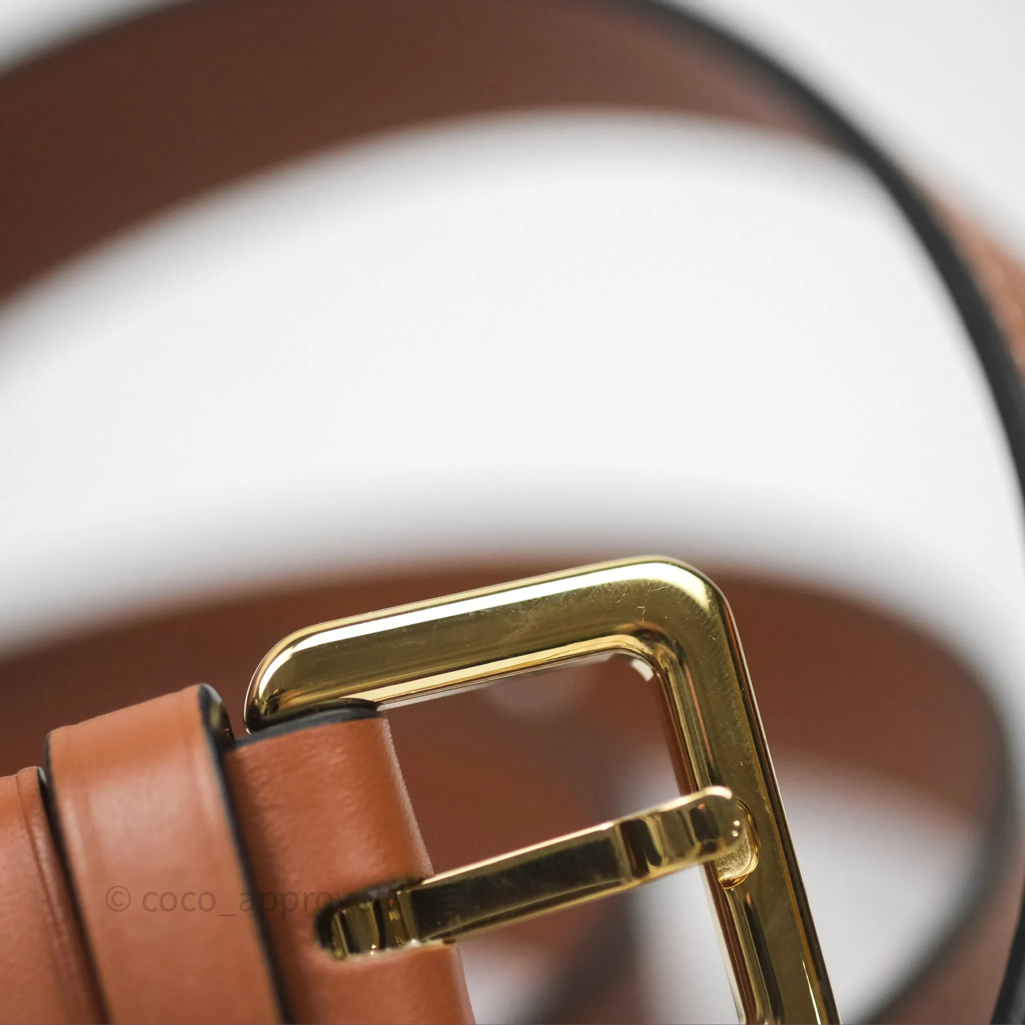 Loewe Mini Gate Belt Bag in Soft Calfskin Brown