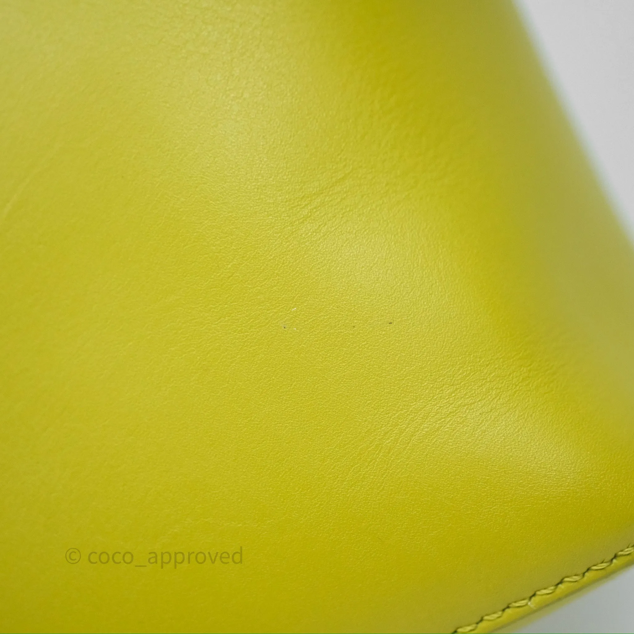 Loewe Mini Puzzle Edge Bag in Lime Smooth Calfskin