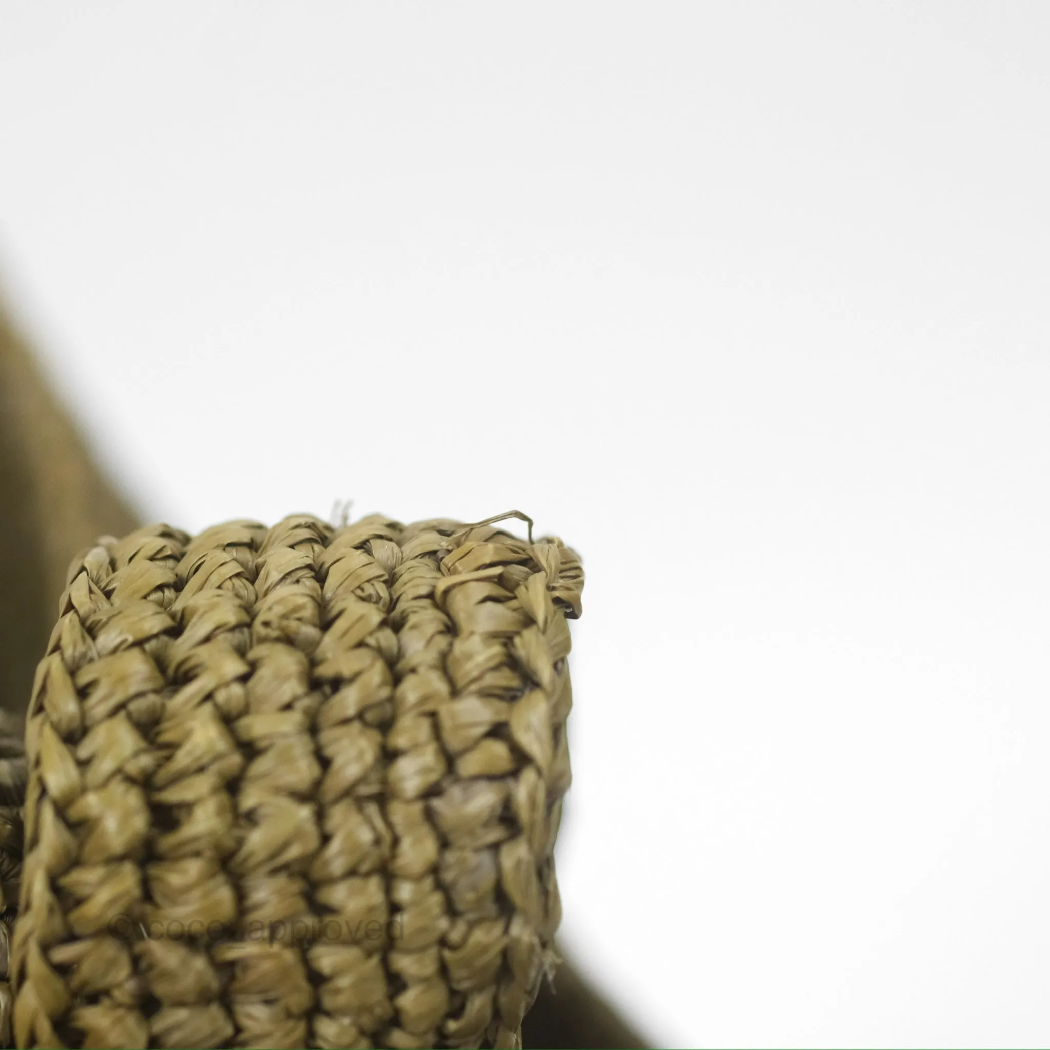 Loewe Mini Slit Bag in Raffia / Calfskin Natural Olive