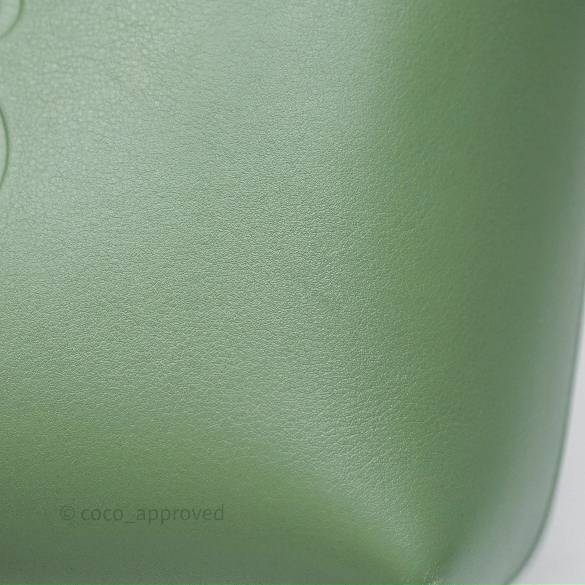 Loewe Small Anagram Tote In Rosemary Green Calfskin