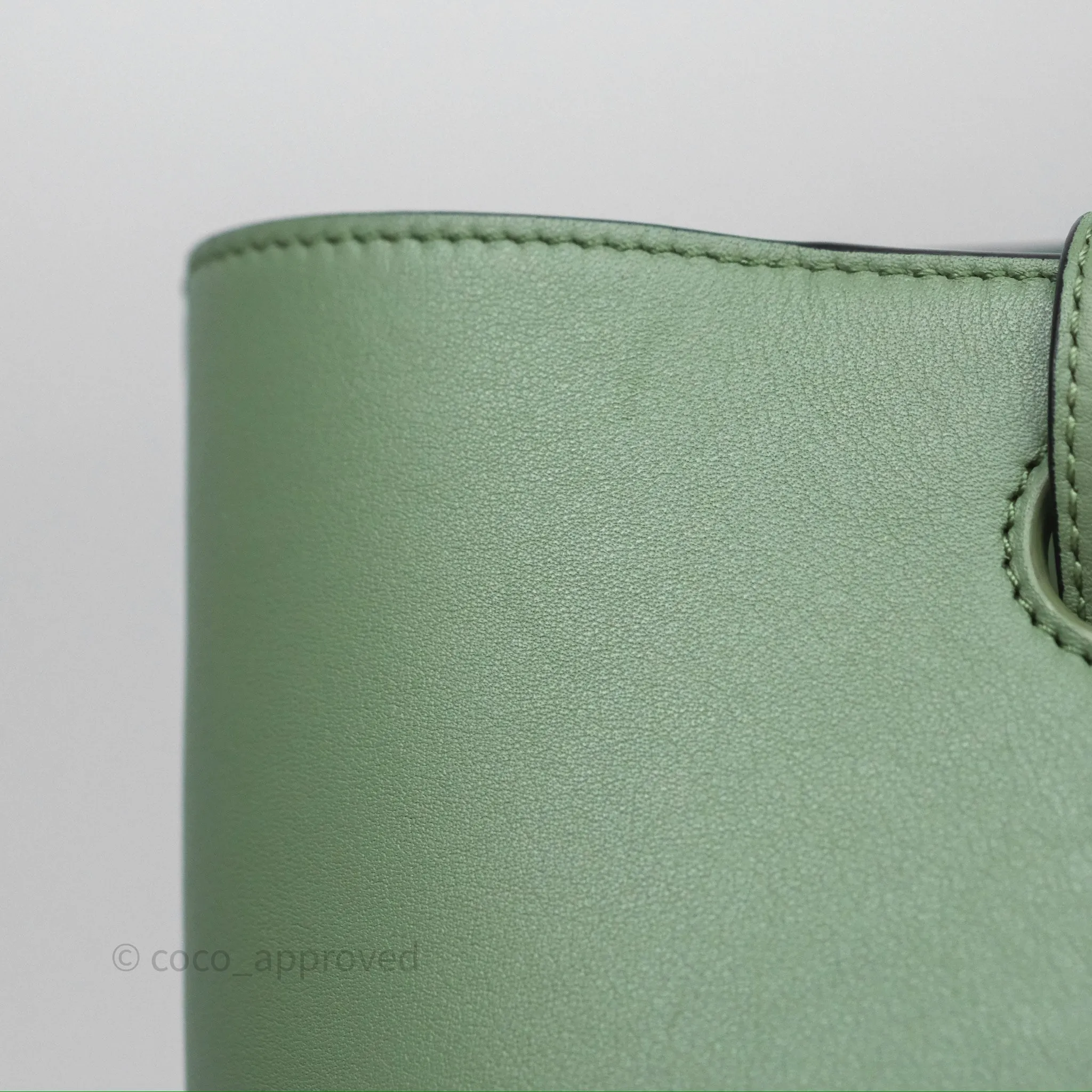 Loewe Small Anagram Tote In Rosemary Green Calfskin