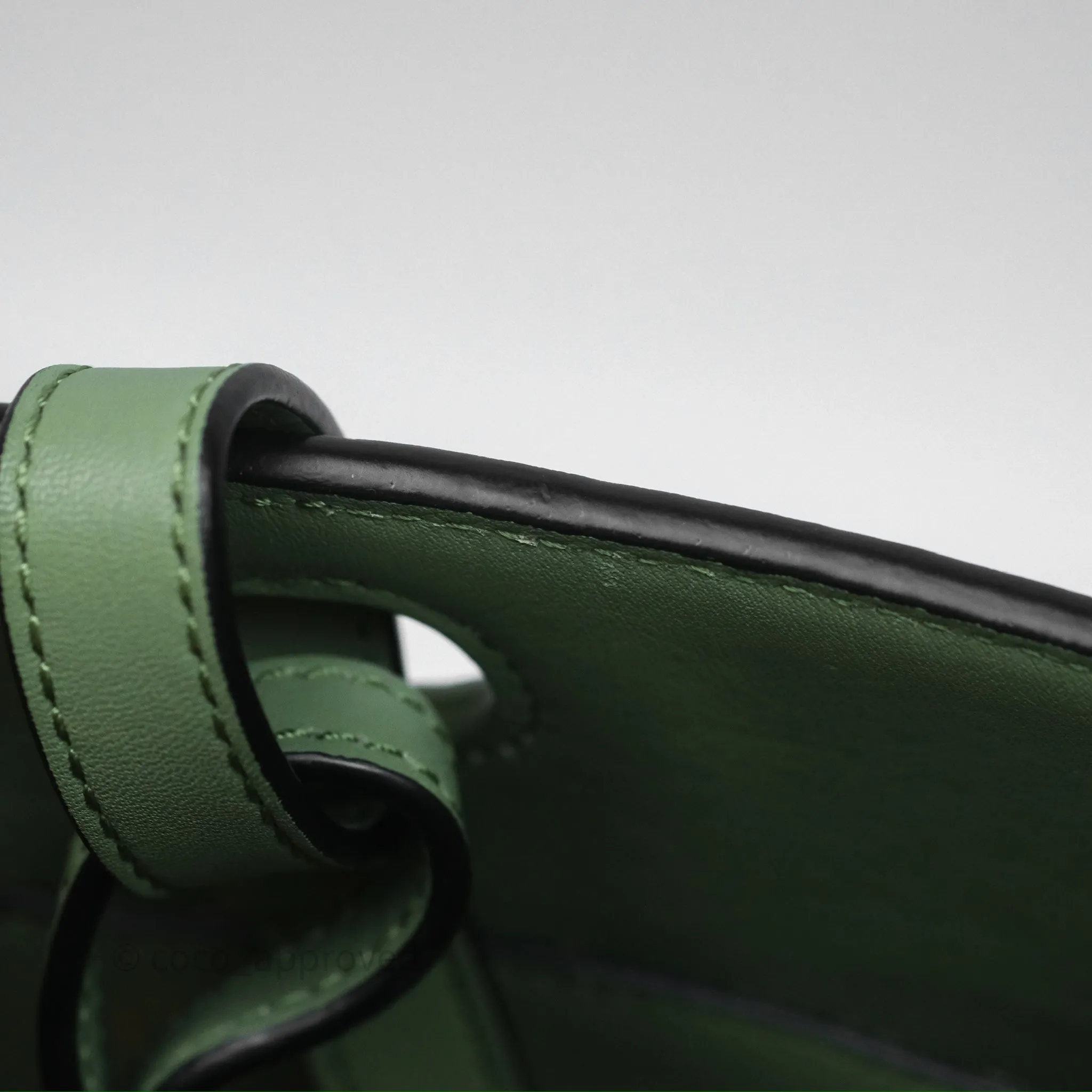Loewe Small Anagram Tote In Rosemary Green Calfskin
