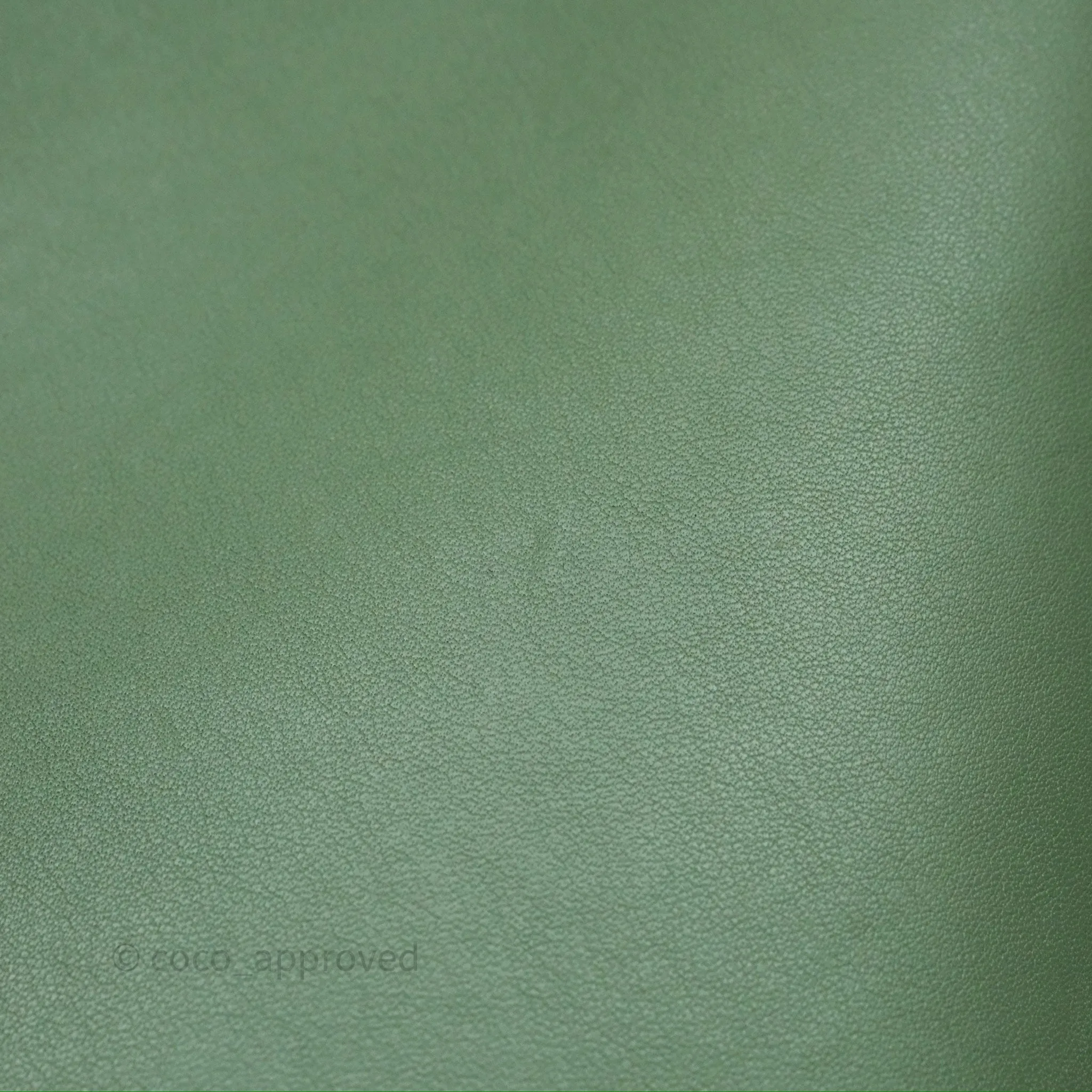 Loewe Small Anagram Tote In Rosemary Green Calfskin