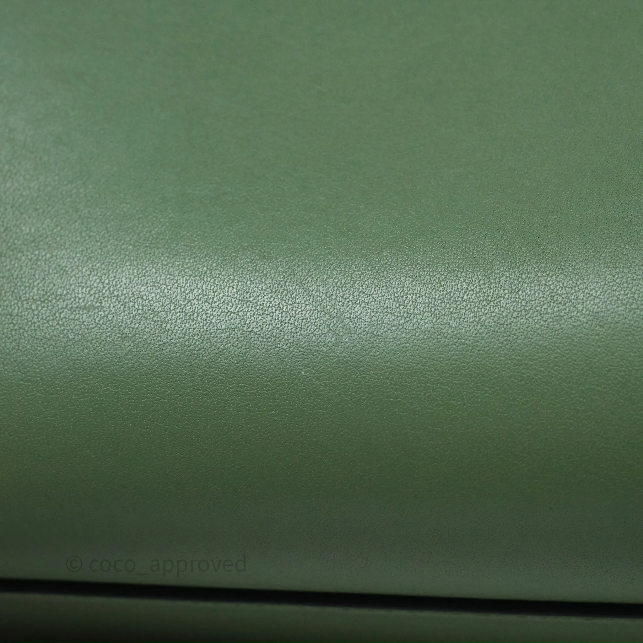Loewe Small Anagram Tote In Rosemary Green Calfskin