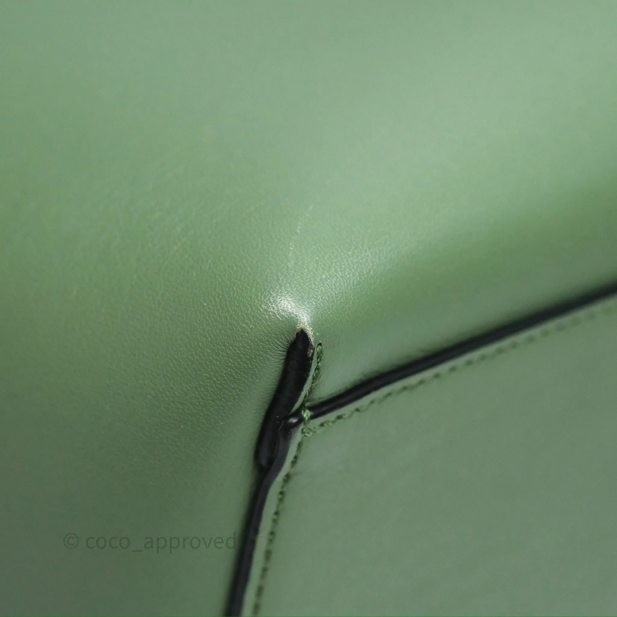 Loewe Small Anagram Tote In Rosemary Green Calfskin