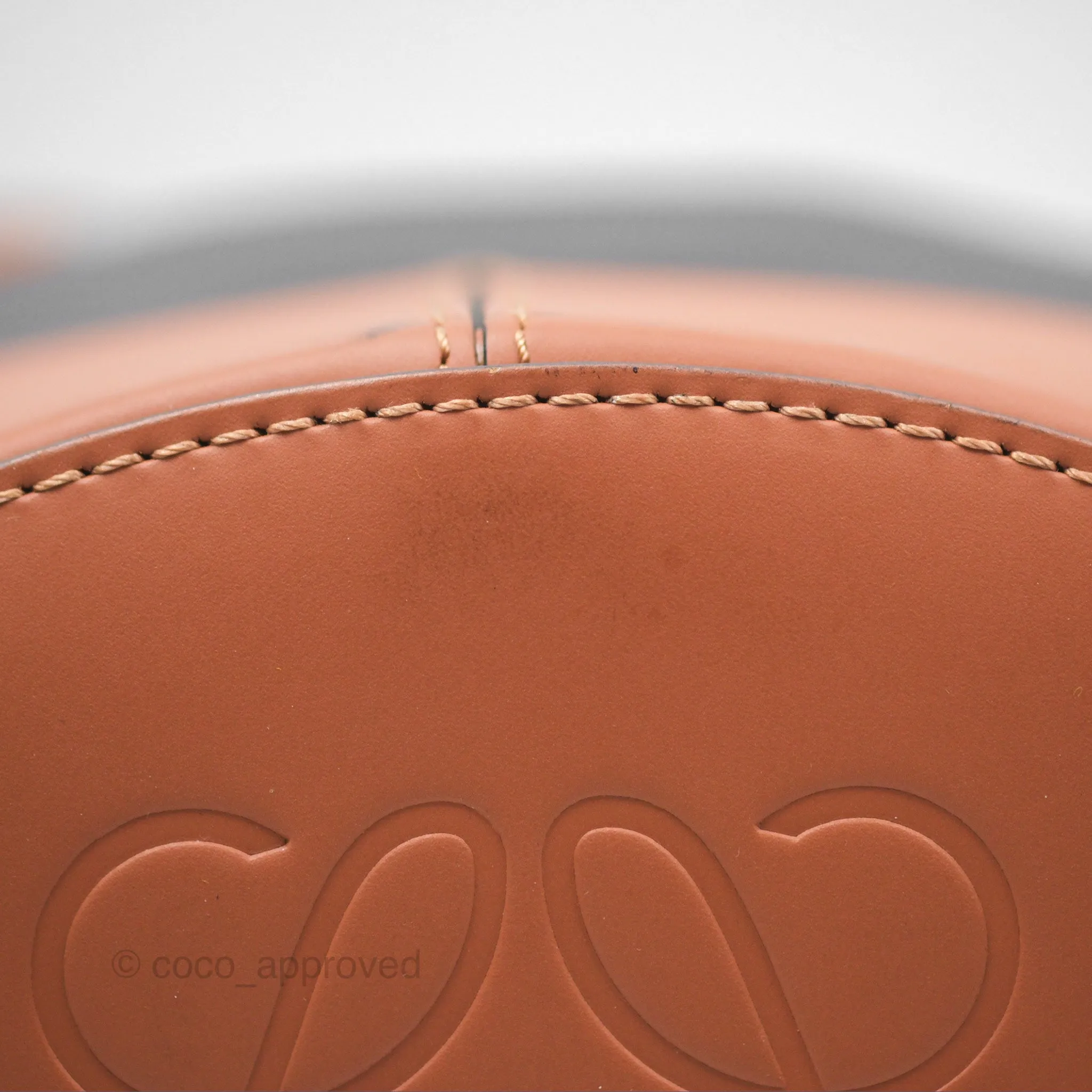 Loewe Small Balloon Bucket Bag Black Tan Calfskin