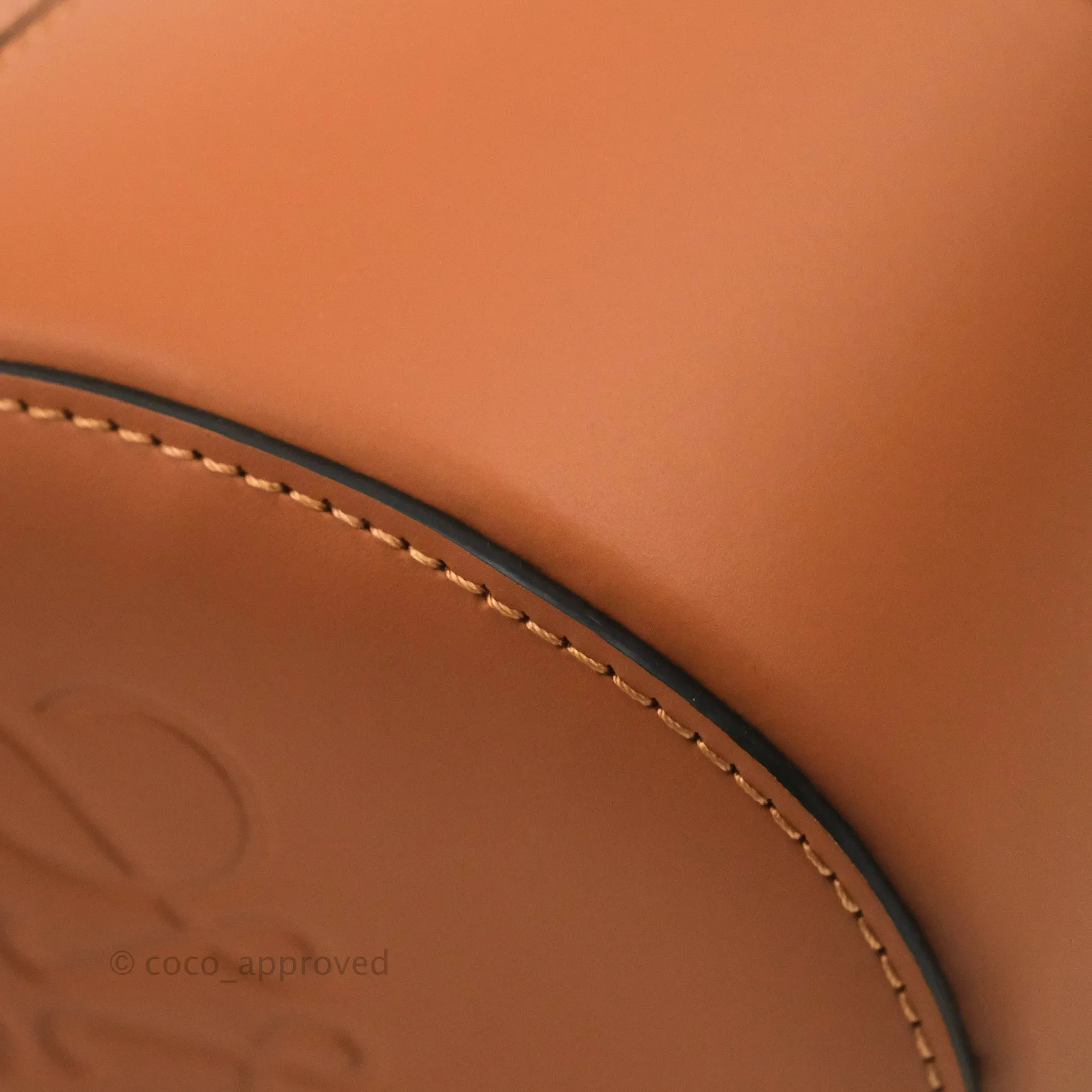 Loewe Small Balloon Bucket Bag Canvas Tan Calfskin