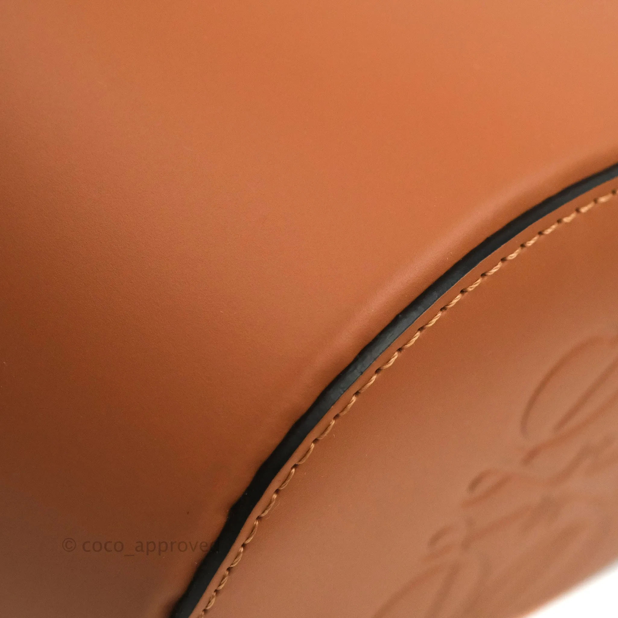 Loewe Small Balloon Bucket Bag Canvas Tan Calfskin