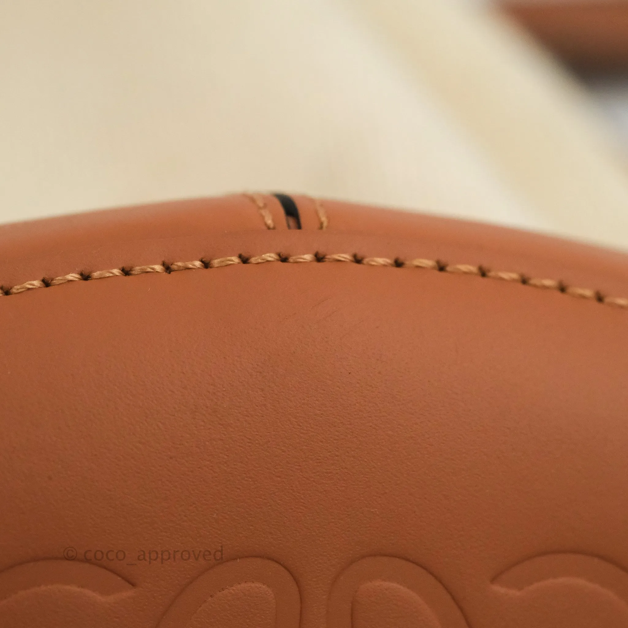 Loewe Small Balloon Bucket Bag Canvas Tan Calfskin