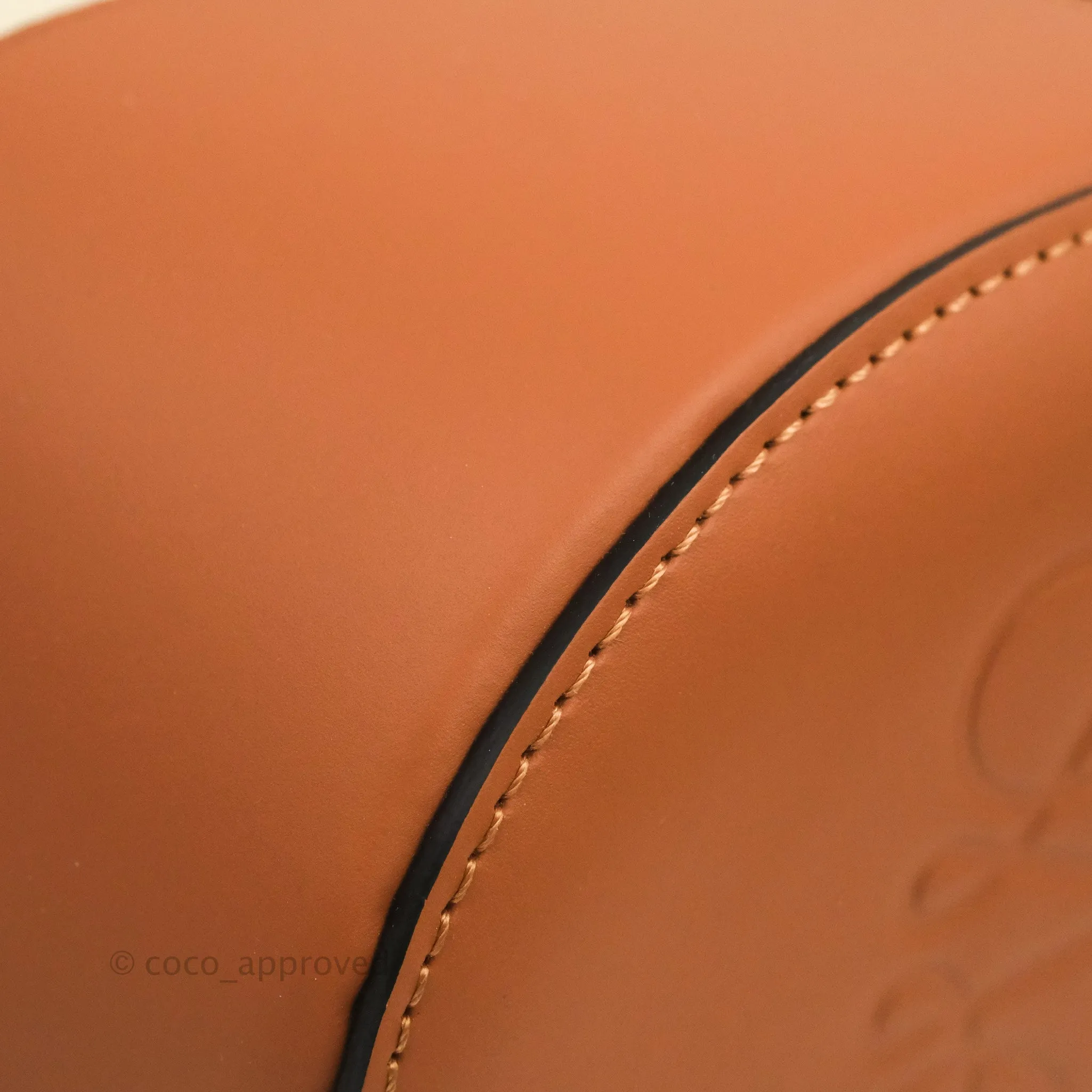 Loewe Small Balloon Bucket Bag Canvas Tan Calfskin