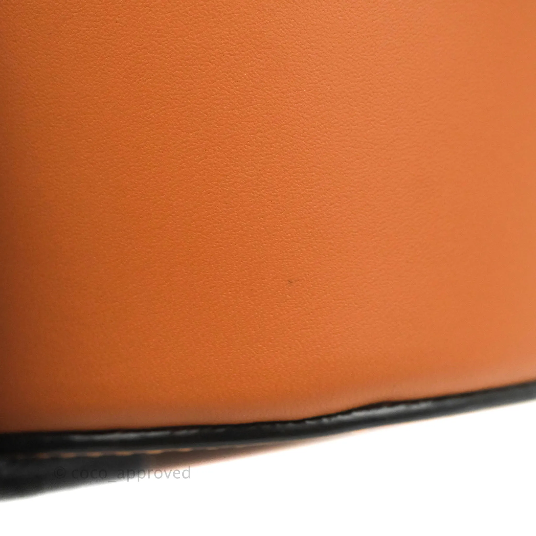 Loewe Small Balloon Bucket Bag Tan Calfskin