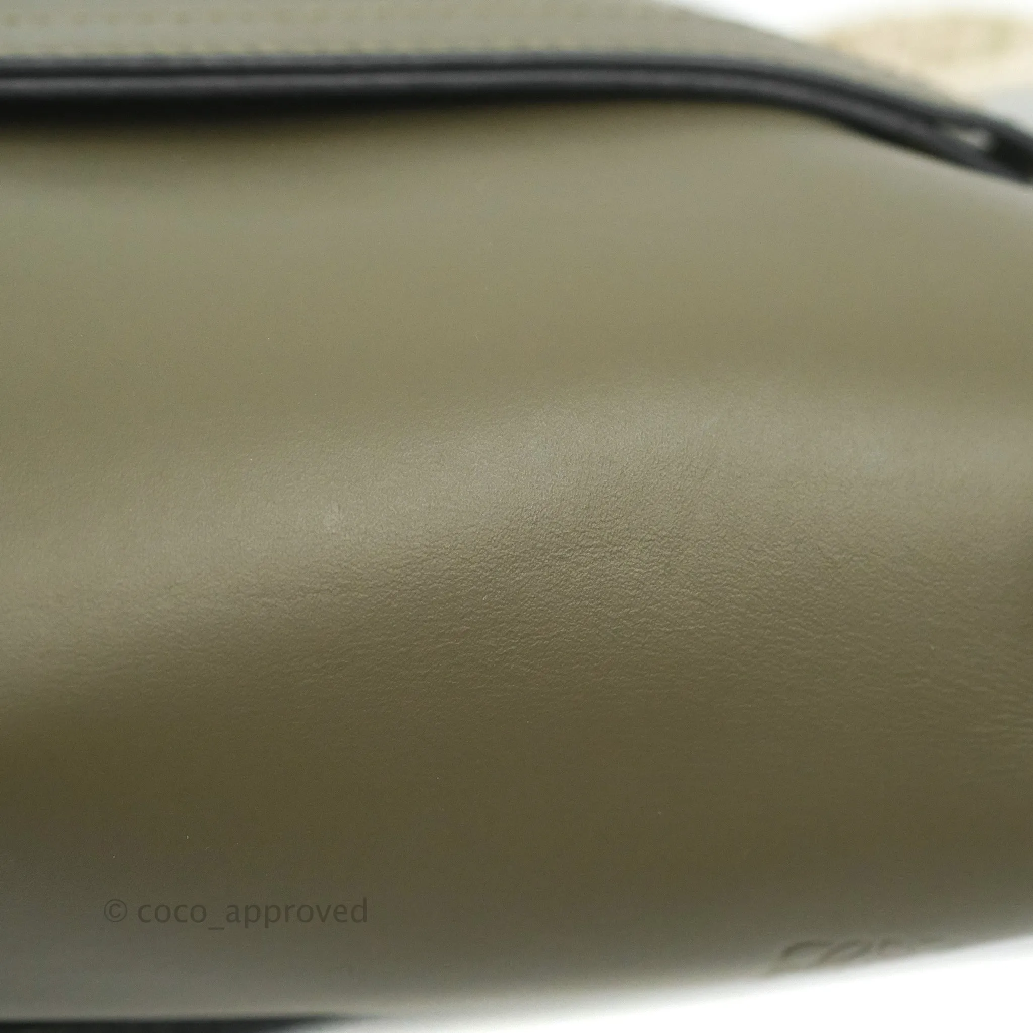 Loewe Small Gate Bag in Soft Calfskin & Jacquard Strap Autumn Green