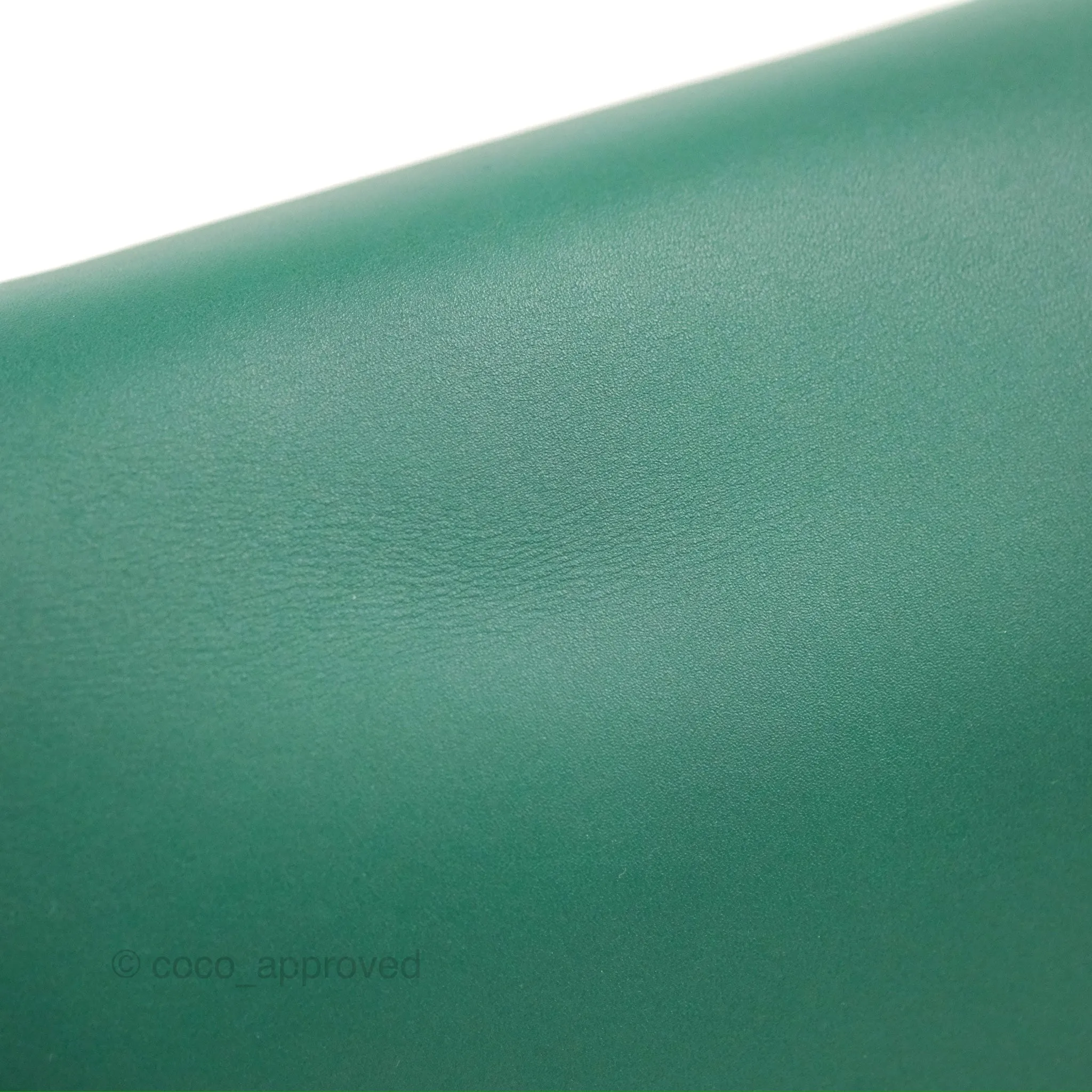 Loewe Small Gate Bag Smooth Calfskin in Green
