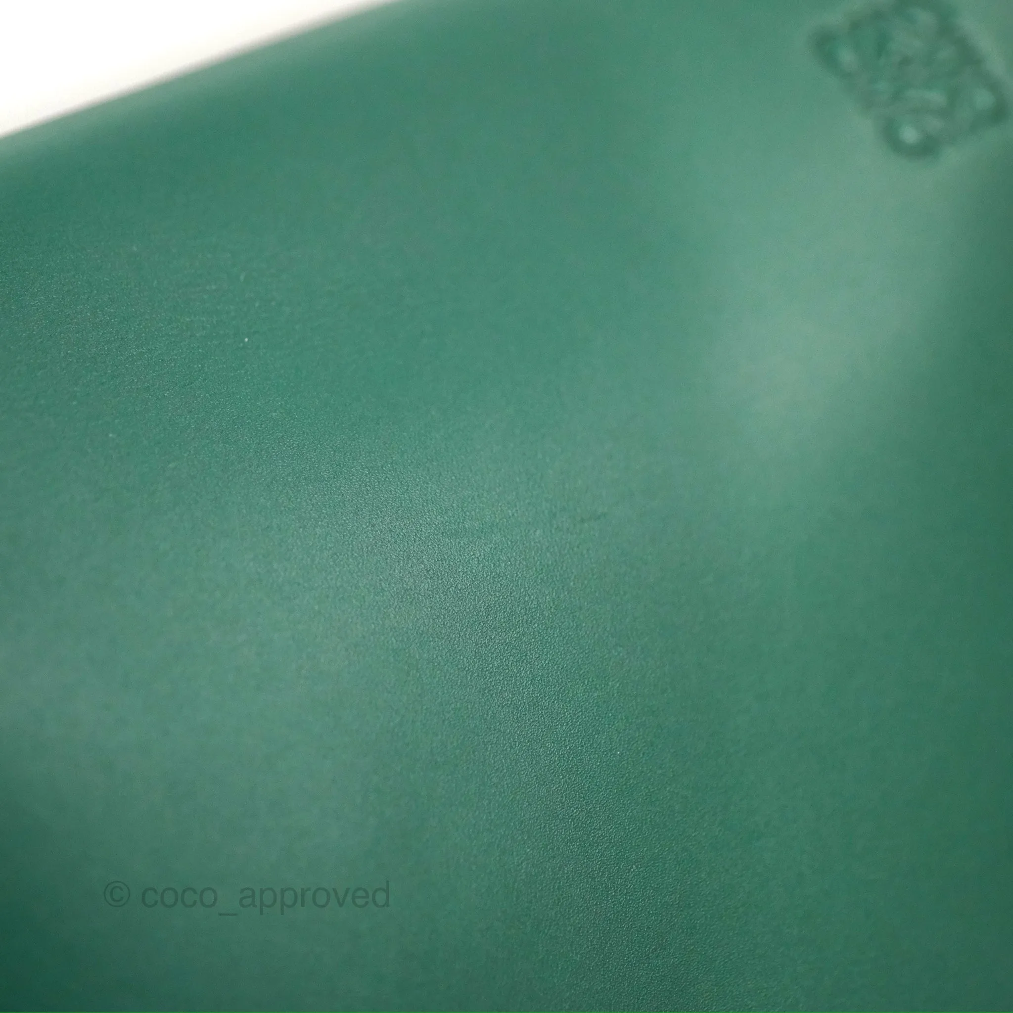 Loewe Small Gate Bag Smooth Calfskin in Green